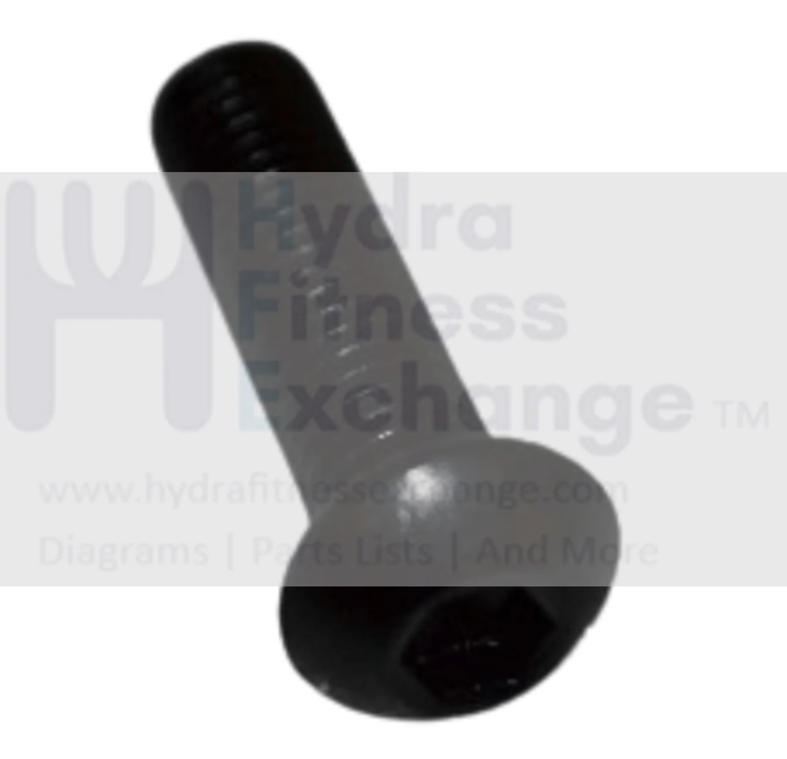 Matrix Retail Treadmill Button Head Screw M8 - 1.25P x 30L 1000228690