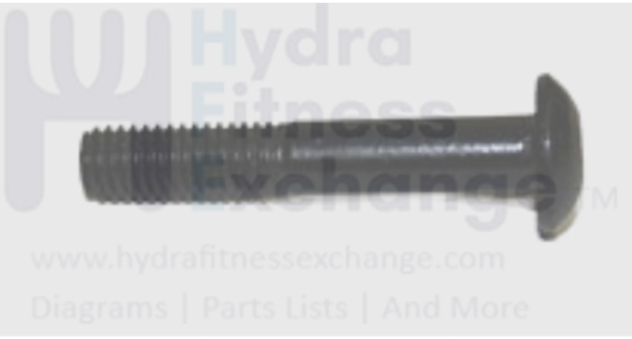 AFG Fitness Gear Merit Vision Triumph Horizon Fitness Elliptical Hex Socket Screw M8 - 1.25P x 45L 004777-Z