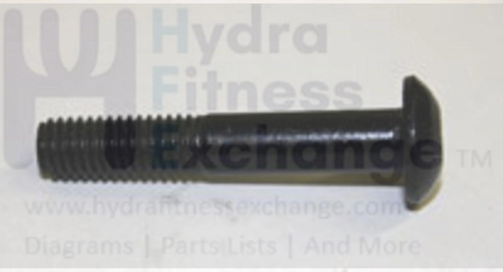 AFG Fitness Gear Merit Vision Triumph Horizon Fitness Elliptical Hex Socket Screw M8 - 1.25P x 45L 004777-Z - Image 2