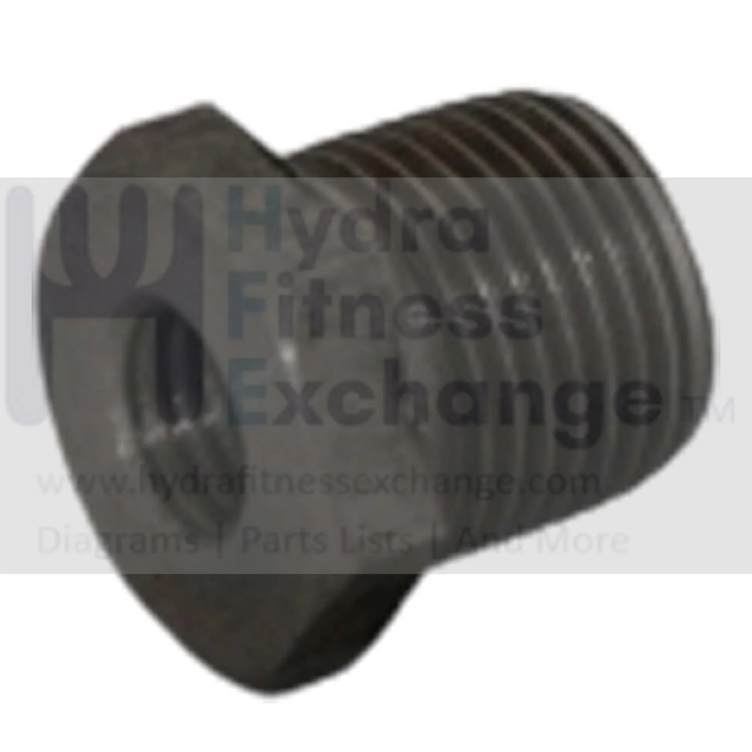 AFG Horizon FC036 FC035 FC062 Stationary Bike Quick Release Nut 1000350927