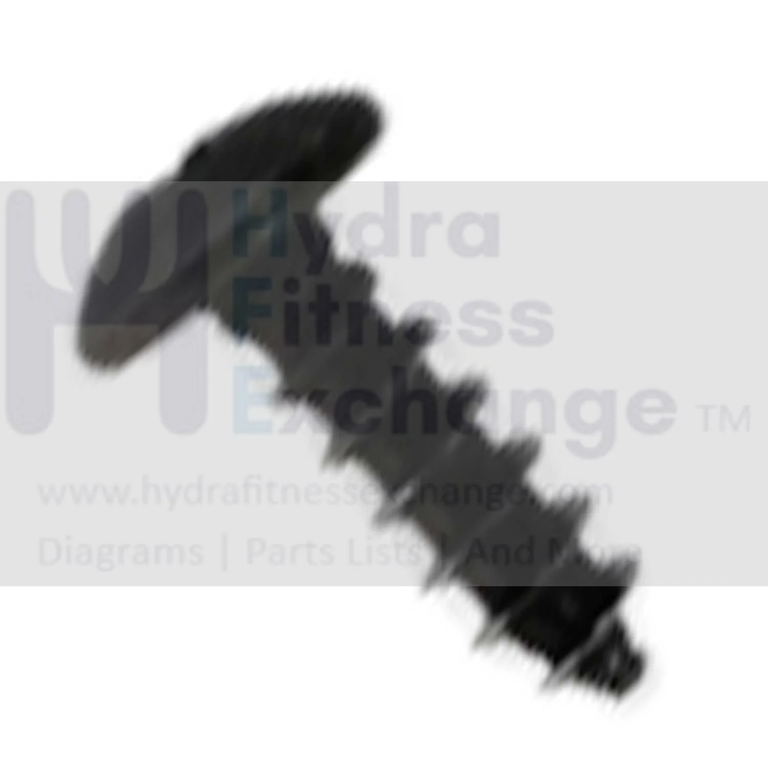 AFG Horizon 7.3AIC Elite IC7 Stationary Bike Self Tapping Screw 1000350920