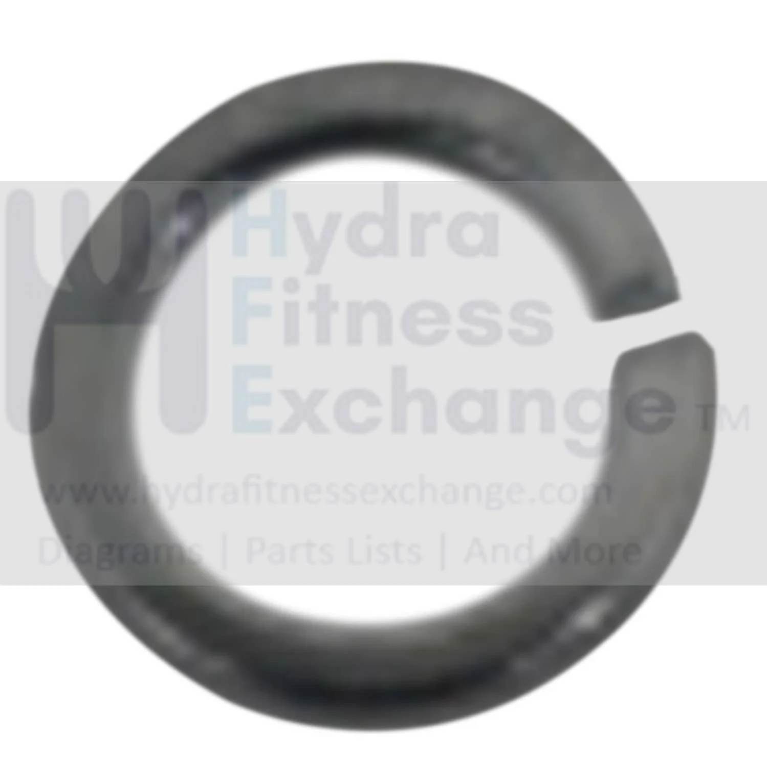 AFG Horizon Fitness 7.3AIC Elite IC7 S3+ Stationary Bike Spring Washer 1000351051