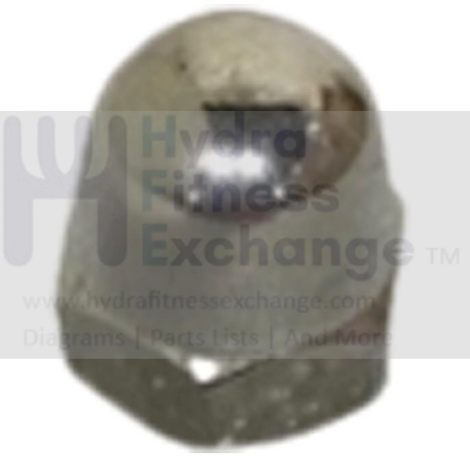 AFG Horizon Fitness 7.3AIC Elite IC7 IC7.9 Stationary Bike Cap Nut 1000397511