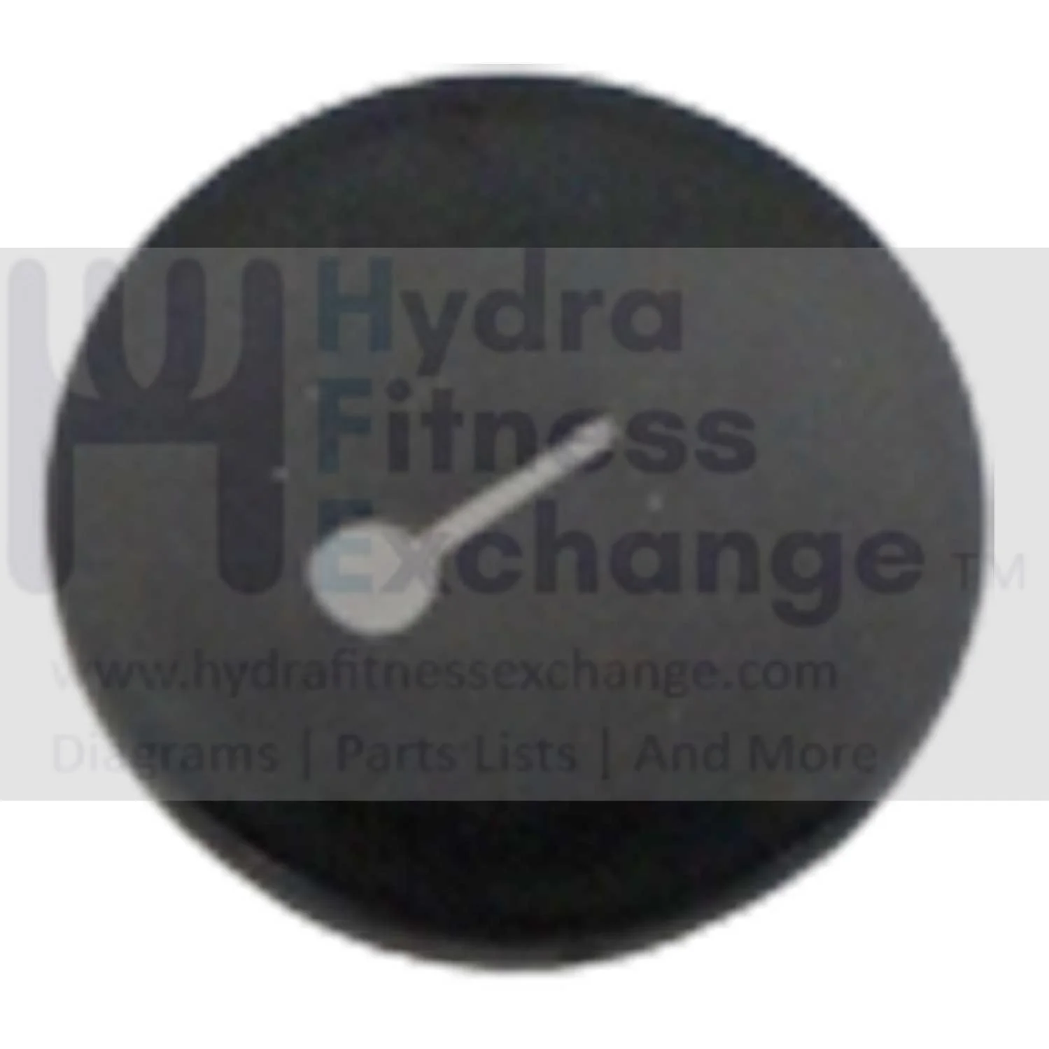 AFG Horizon Fitness 7.3AIC Elite IC7 Stationary Bike Crank Arm Cap 1000351024