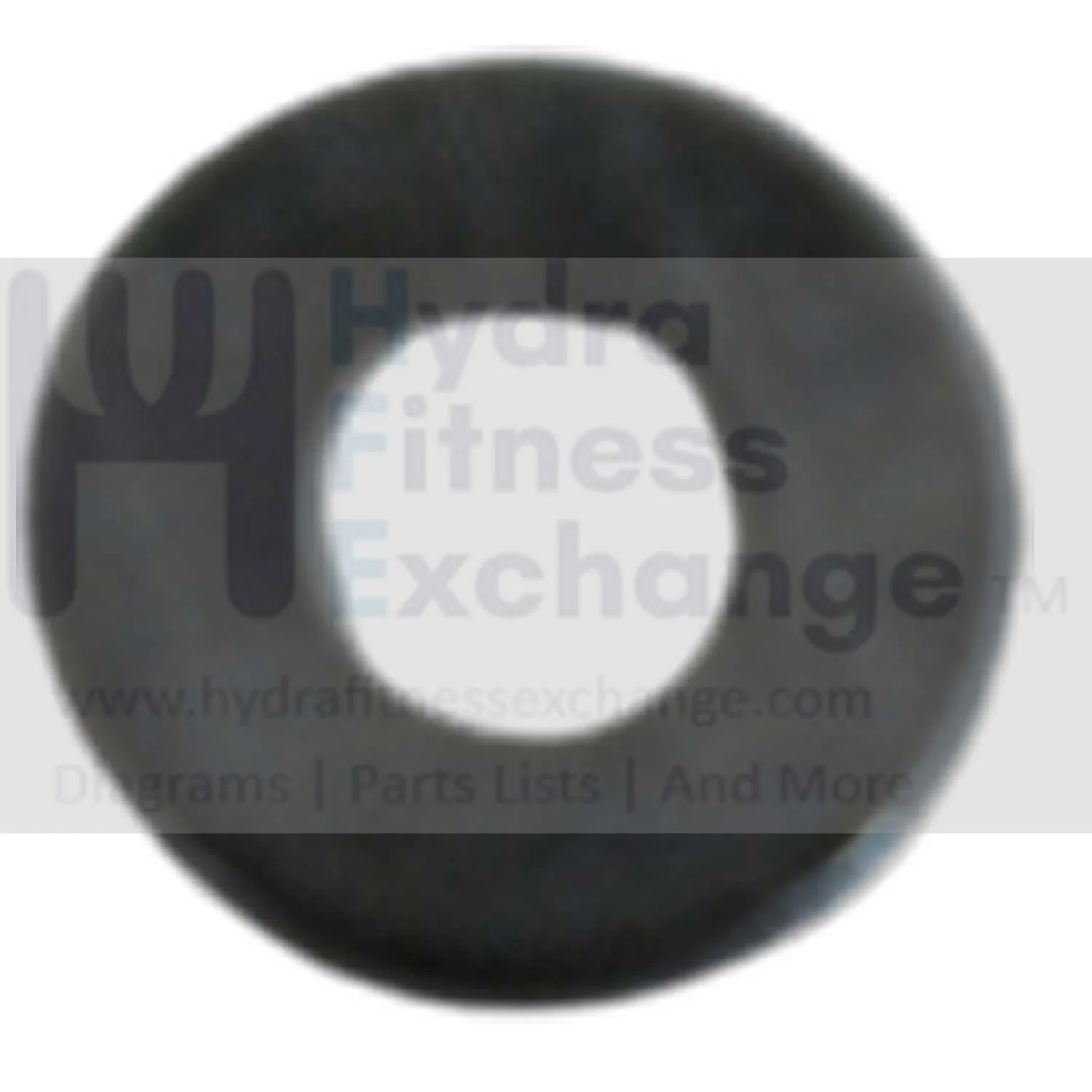 AFG Horizon Fitness 7.3AIC Elite IC7 Stationary Bike Flat Washer 1000351091