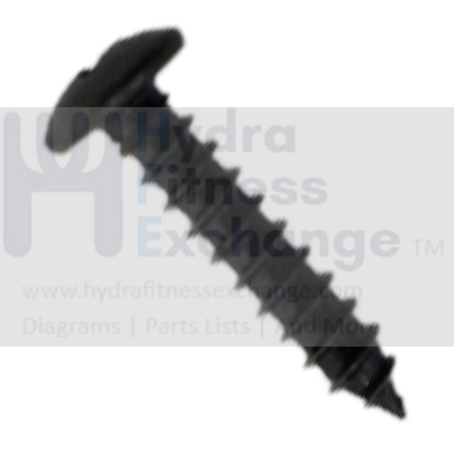 AFG Horizon Fitness 7.3AIC Elite IC7 Stationary Bike Self Tapping Screw 1000351076