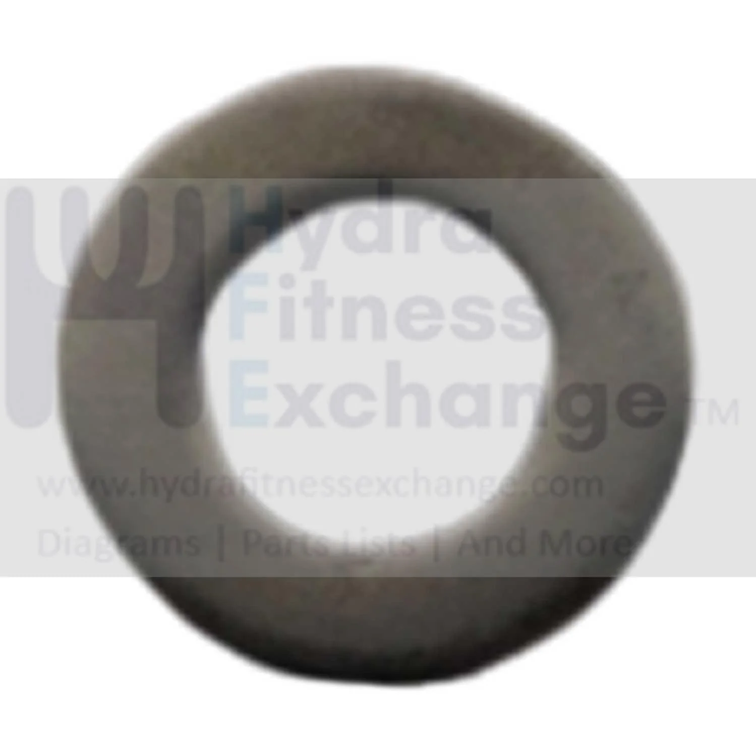 AFG Horizon Fitness 7.3AIC Elite IC7 IC7.9 Stationary Bike Washer 1000350949