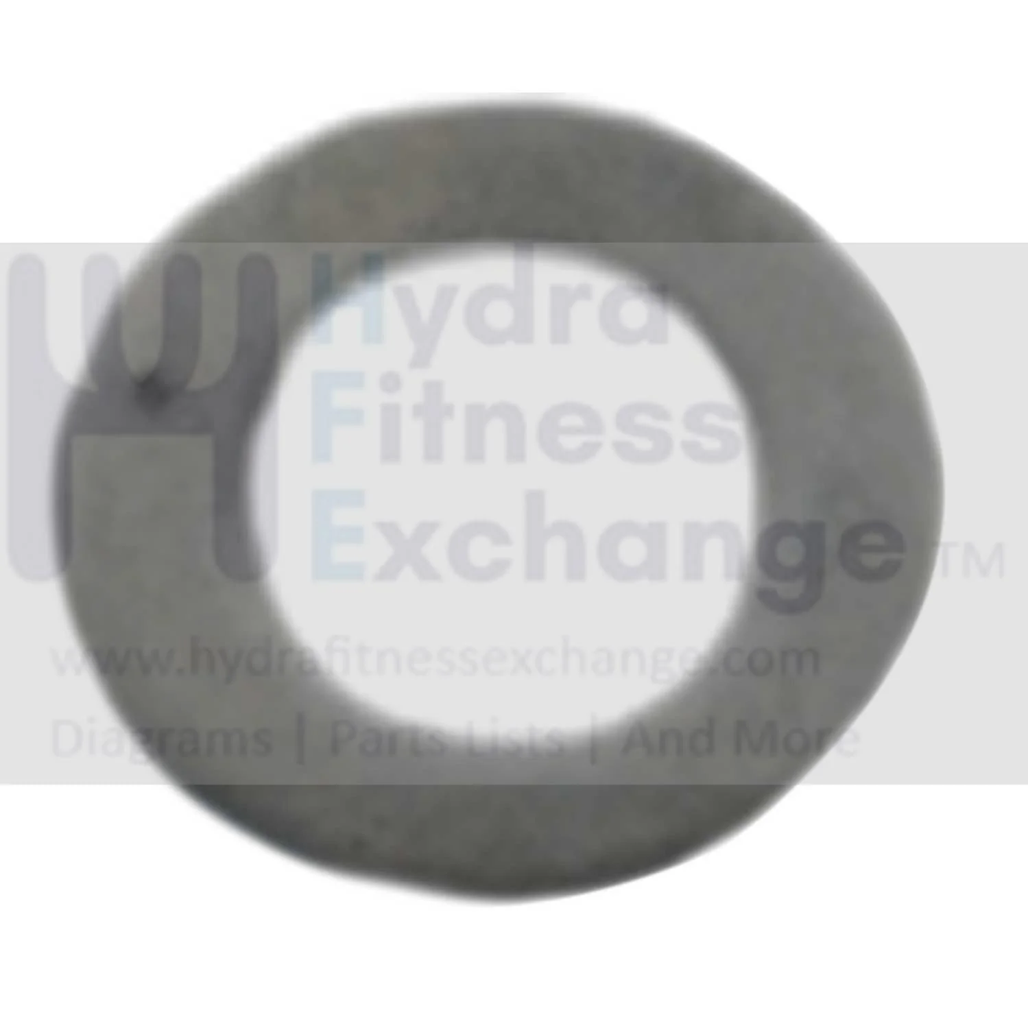 AFG Horizon Fitness 7.3AIC Elite IC7 Stationary Bike Washer 1000351012