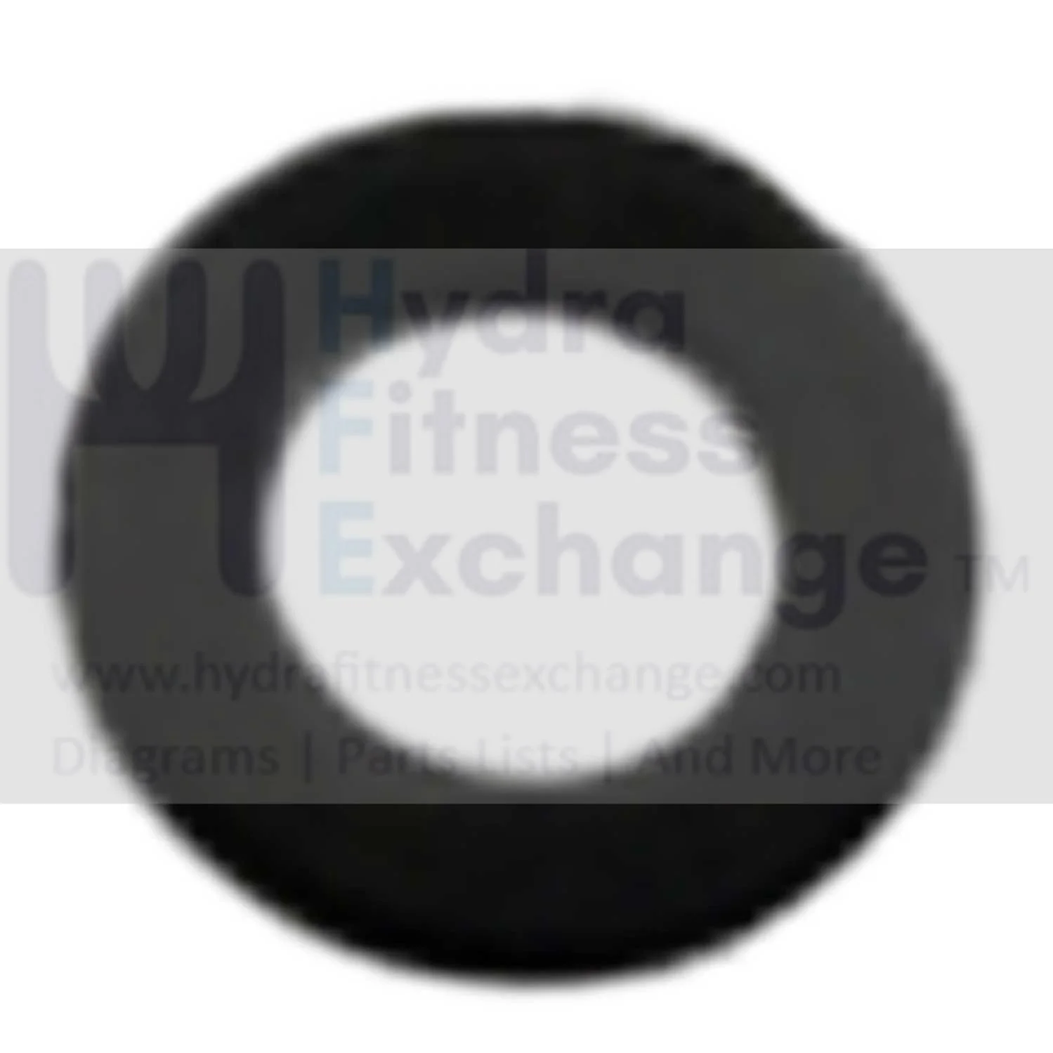 AFG Horizon Fitness 7.3AIC Elite IC7 Stationary Bike Washer 1000351109