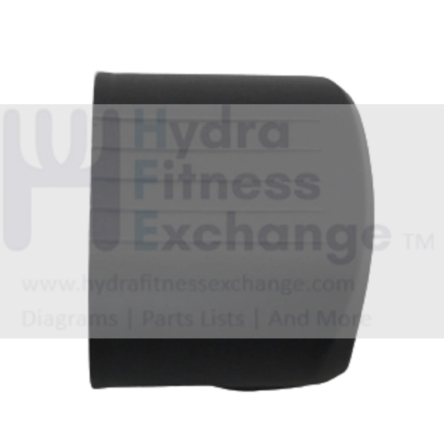 AFG Horizon Fitness 7.3AR 7.3AU Elite R7 U7 Stationary Bike Front Stabilizer End Cap 1000350742