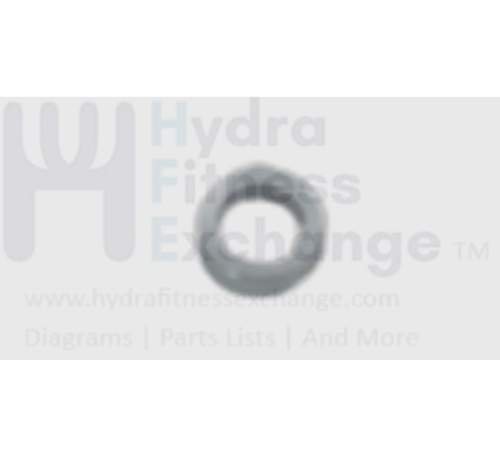 AFG Horizon Fitness 7.3AR 7.3AU Elite R7 U7 Stationary Bike Transport Wheel Spacer Ring 1000350674