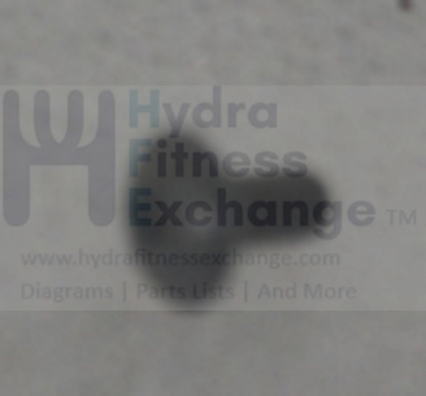 AFG Horizon Fitness 7.3AR RB019 Elite R7 RB018 Stationary Bike Button Head Screw 1000350650
