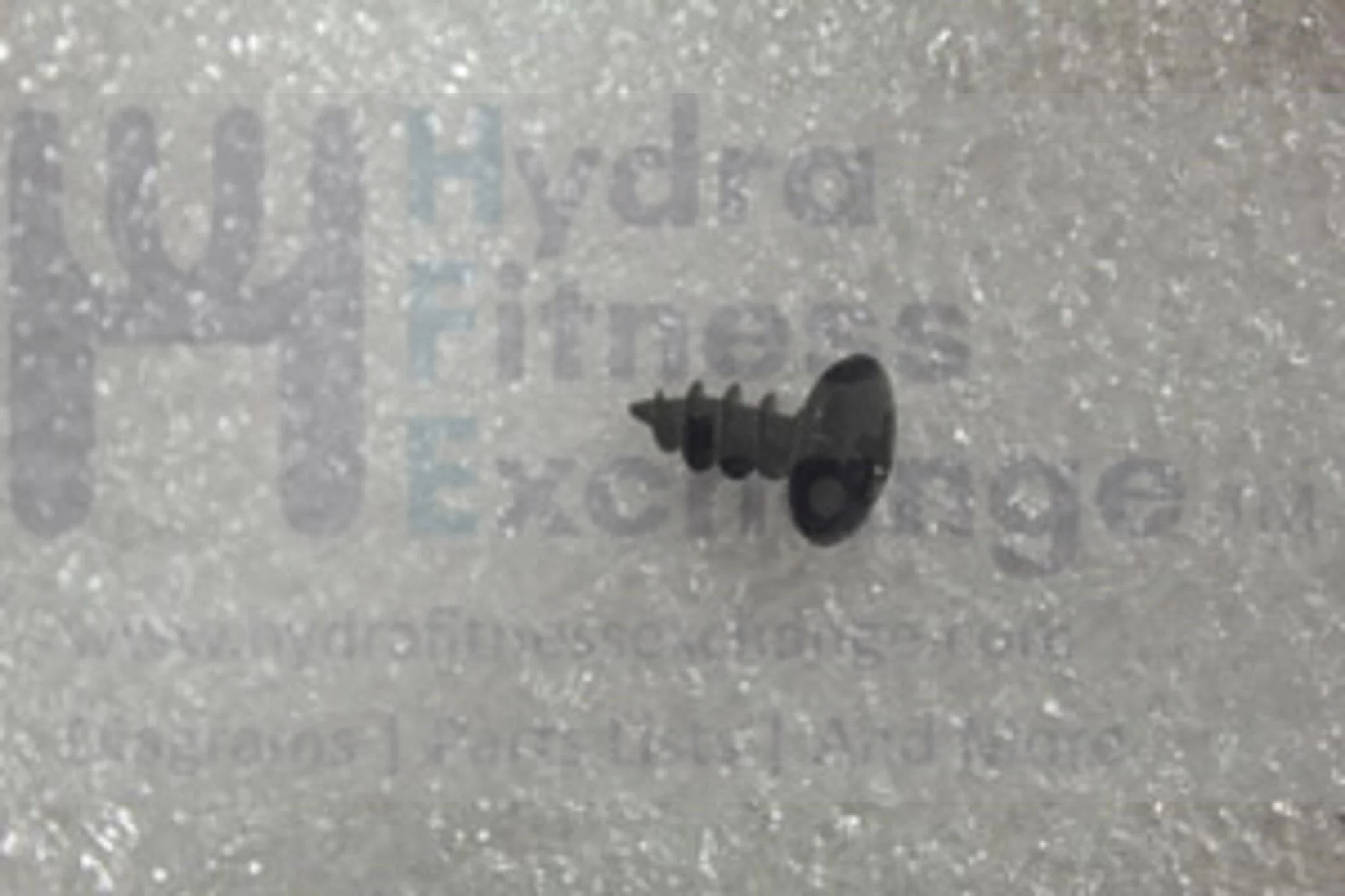 AFG Horizon Fitness Elite E9 3.1AE 4.1AE 3.3AE 5.3AE Elliptical Screw 1000216858 - Image 2