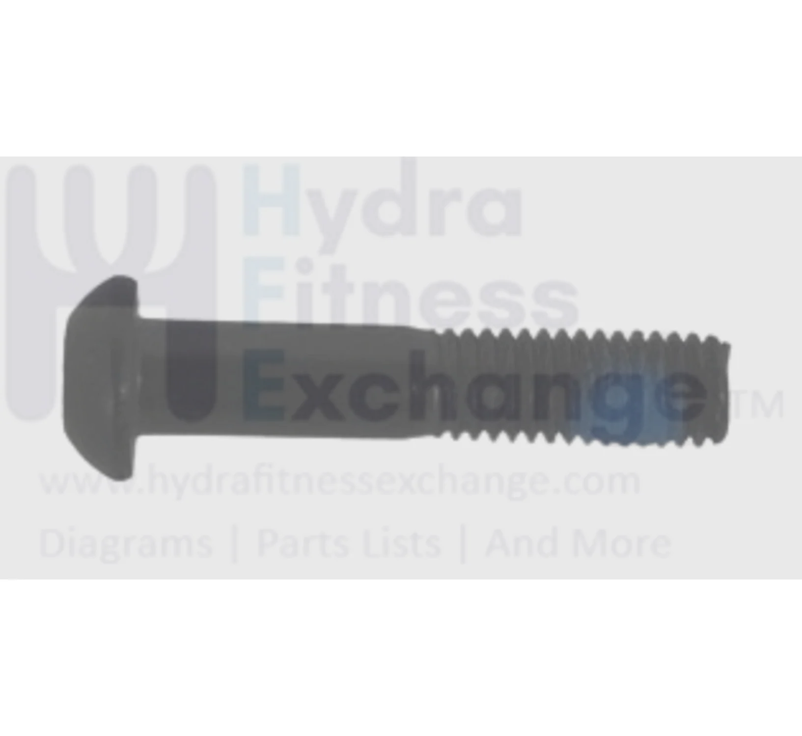 AFG Horizon Fitness Elliptical Button Head Hex Socket Screw M8x1.25Px40L 004728-AE