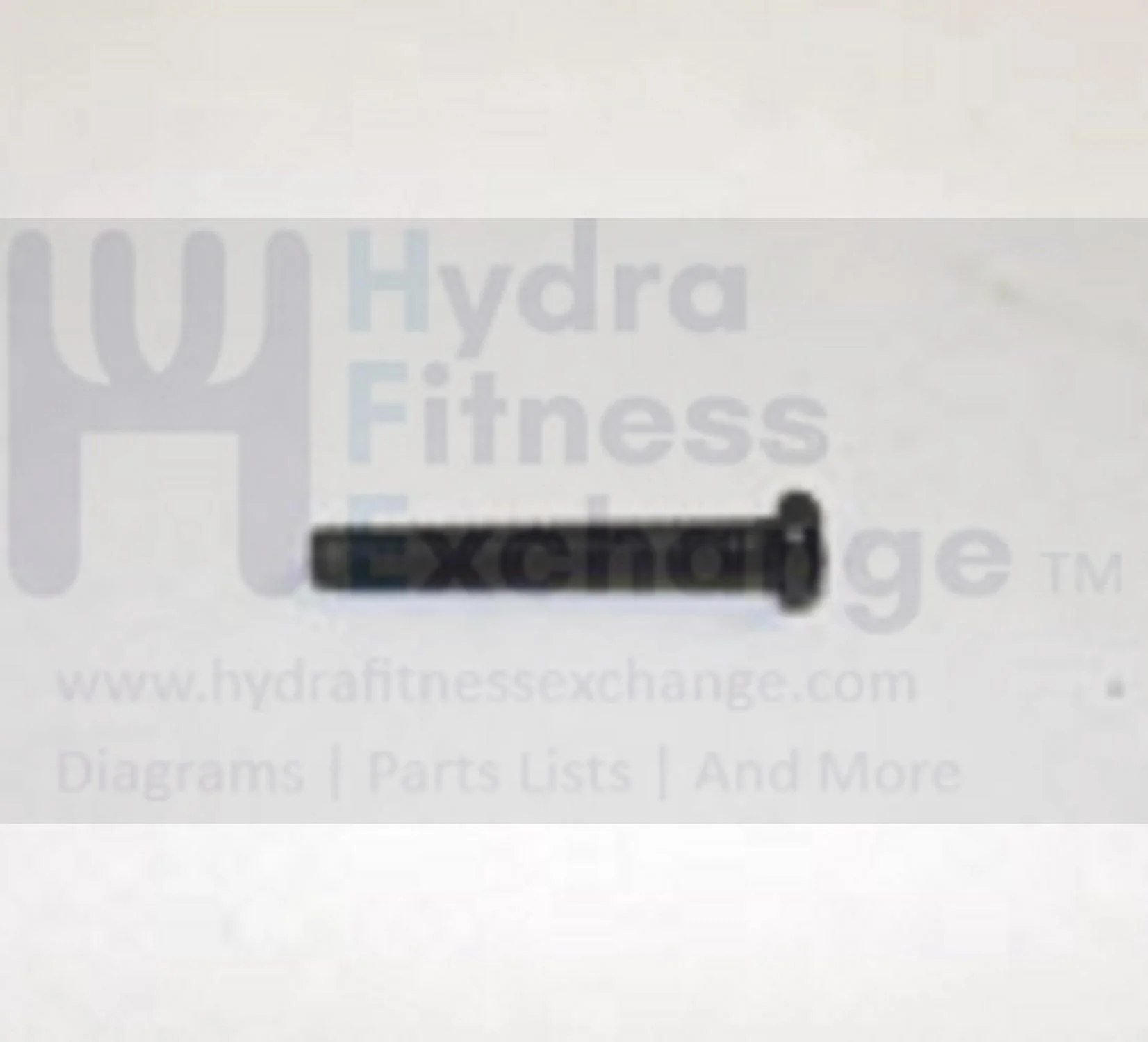 AFG Horizon Fitness Gear TM329 TM330 TM331 TM332 EP163 EP120 EP139 Elliptical Round Hex Socket Screw M2x0.4Px16L 004513-Z - Image 2