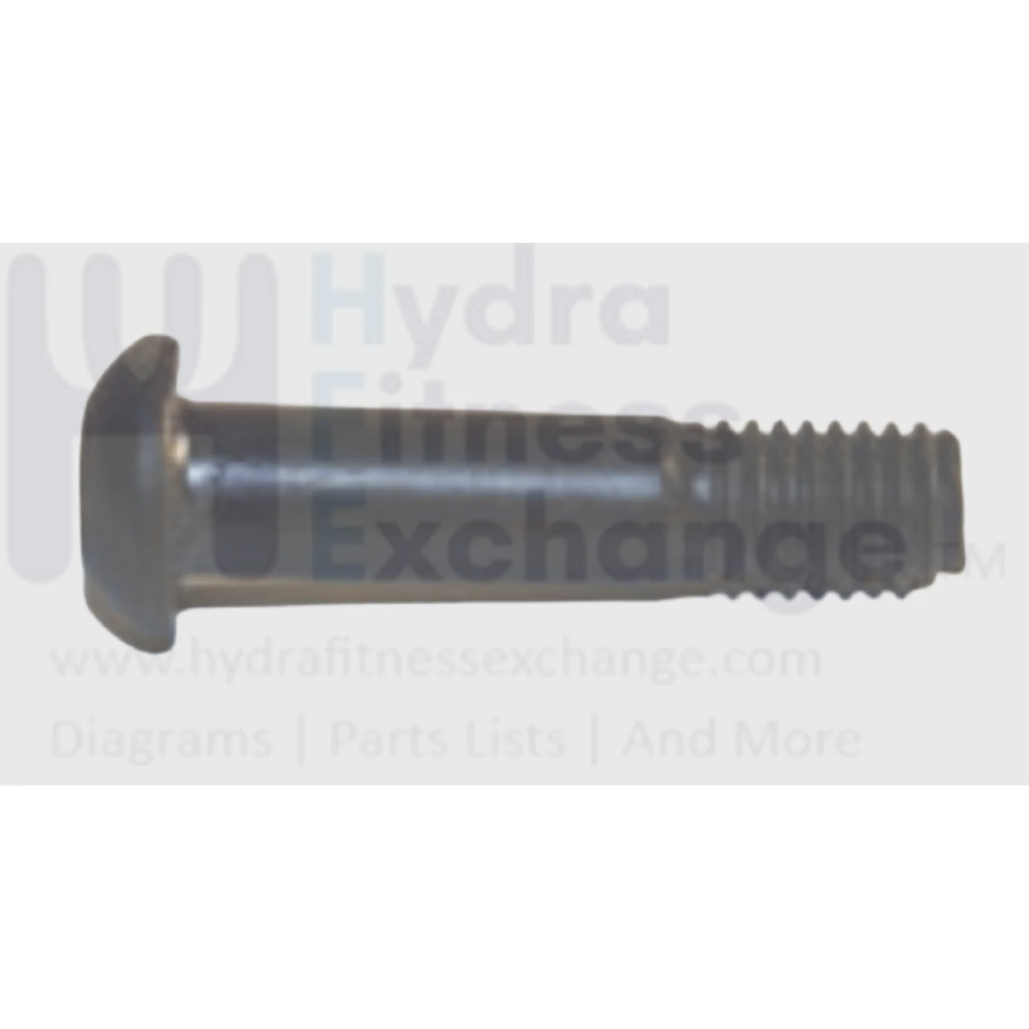 AFG Horizon Fitness Livestrong Elliptical Button Head Hex Socket Screw M8x1.25Px35L 004773-00