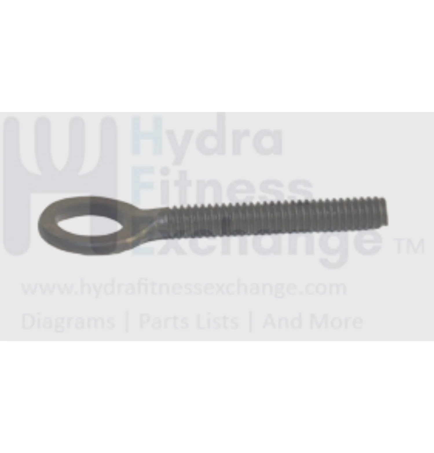 Horizon Fitness Rower Eye Bolt Screw 1/4"-20UNC x 55L 1000204290