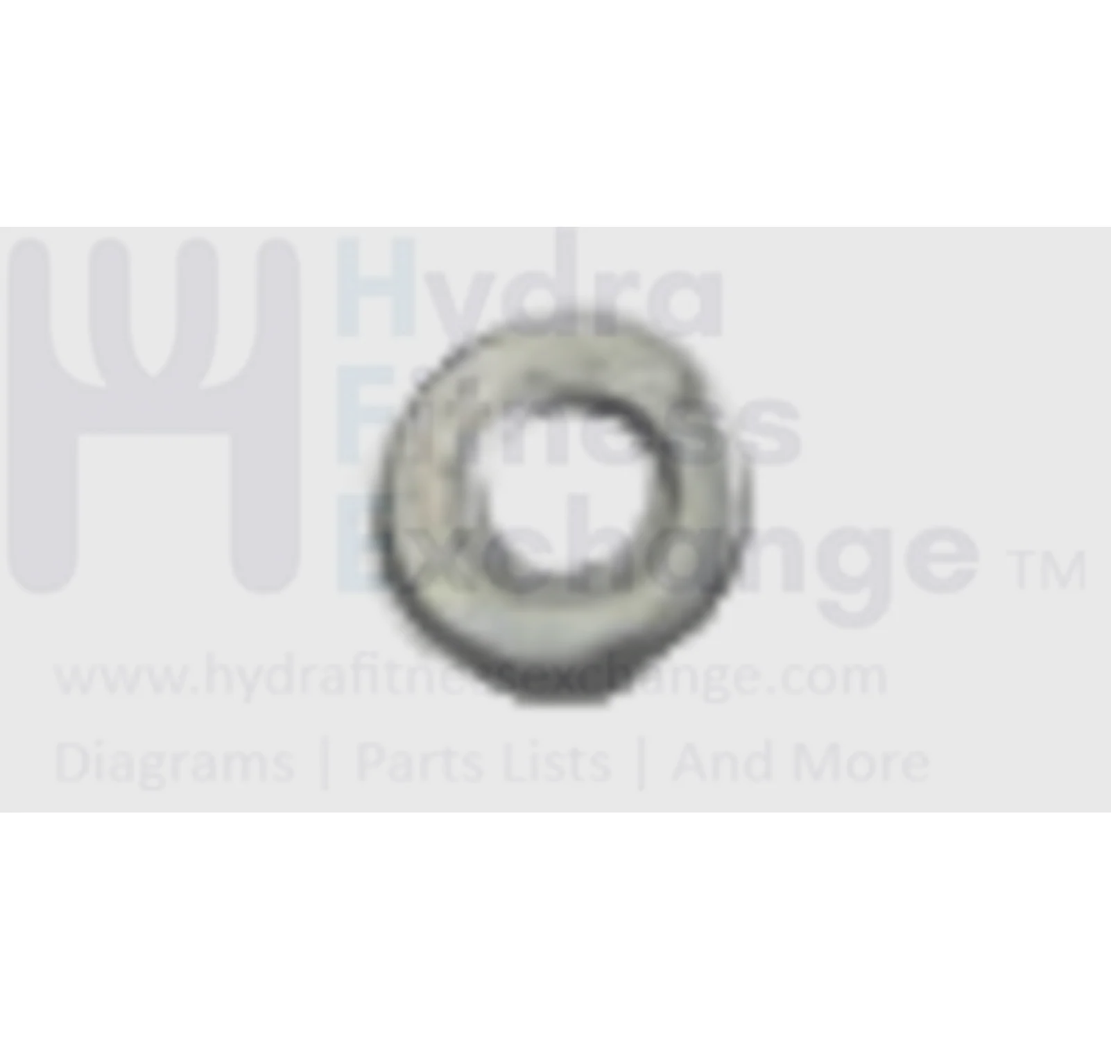 AFG Horizon Fitness Livestrong Stationary Bike Flat Washer 13.0x6.5x1.0T 1000094212