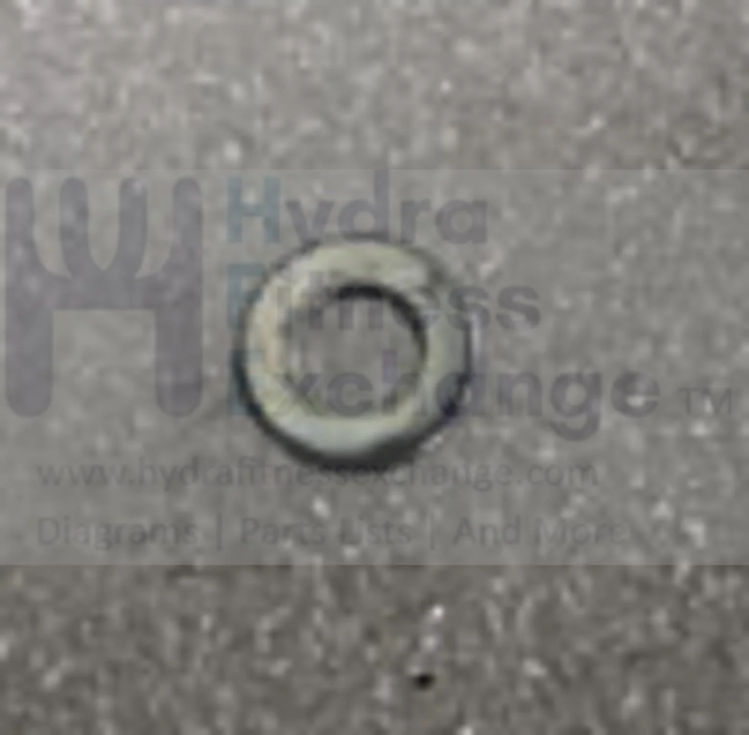 AFG Horizon Fitness Livestrong Stationary Bike Flat Washer 13.0x6.5x1.0T 1000094212 - Image 2