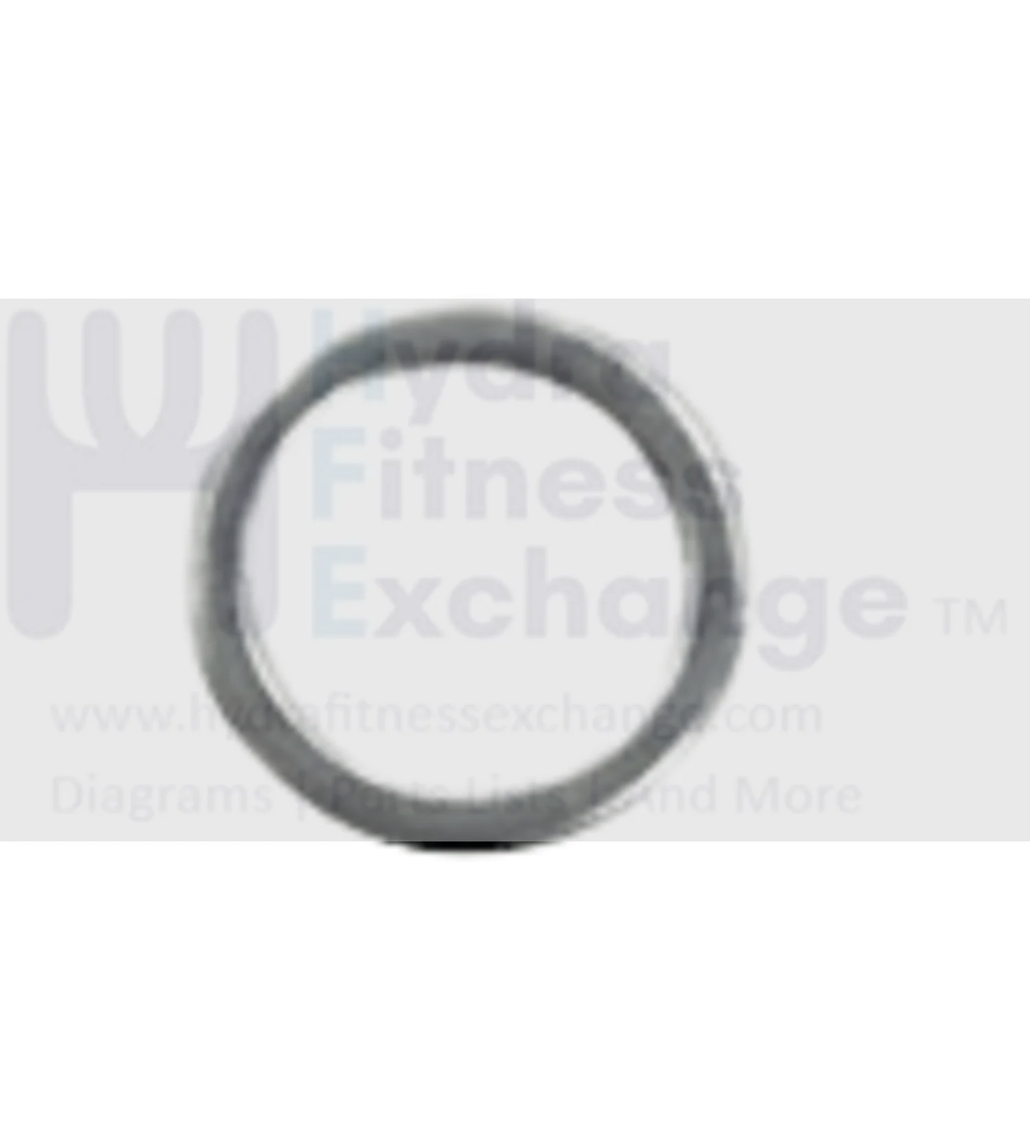 AFG Horizon Fitness Livestrong Stationary Bike Flat Washer 23.0x17.2x1.5T 1000096911