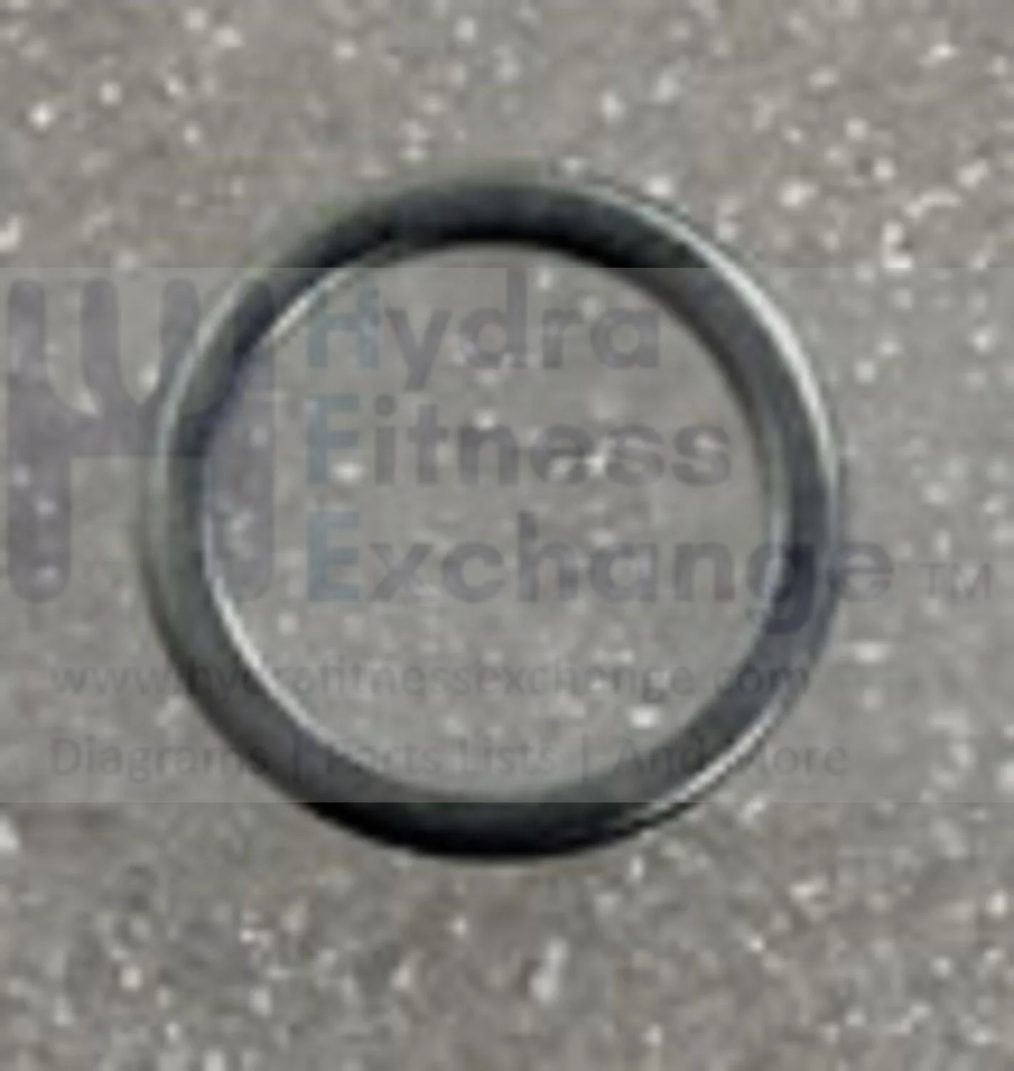 AFG Horizon Fitness Livestrong Stationary Bike Flat Washer 23.0x17.2x1.5T 1000096911 - Image 2