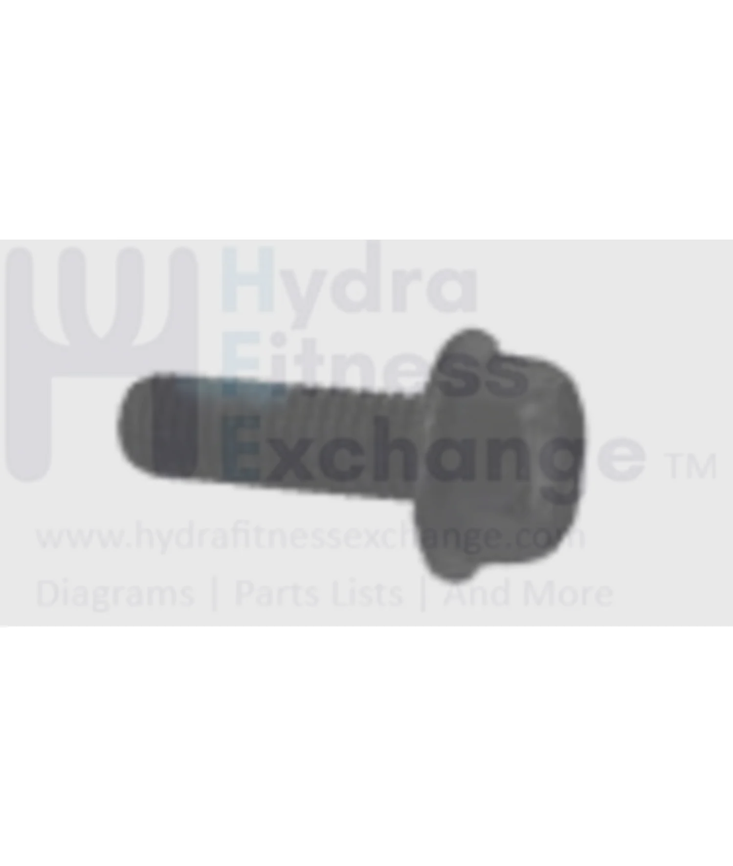 AFG Horizon Fitness Livestrong Stationary Bike Hex Bolt M8x1.25x25 1000096900
