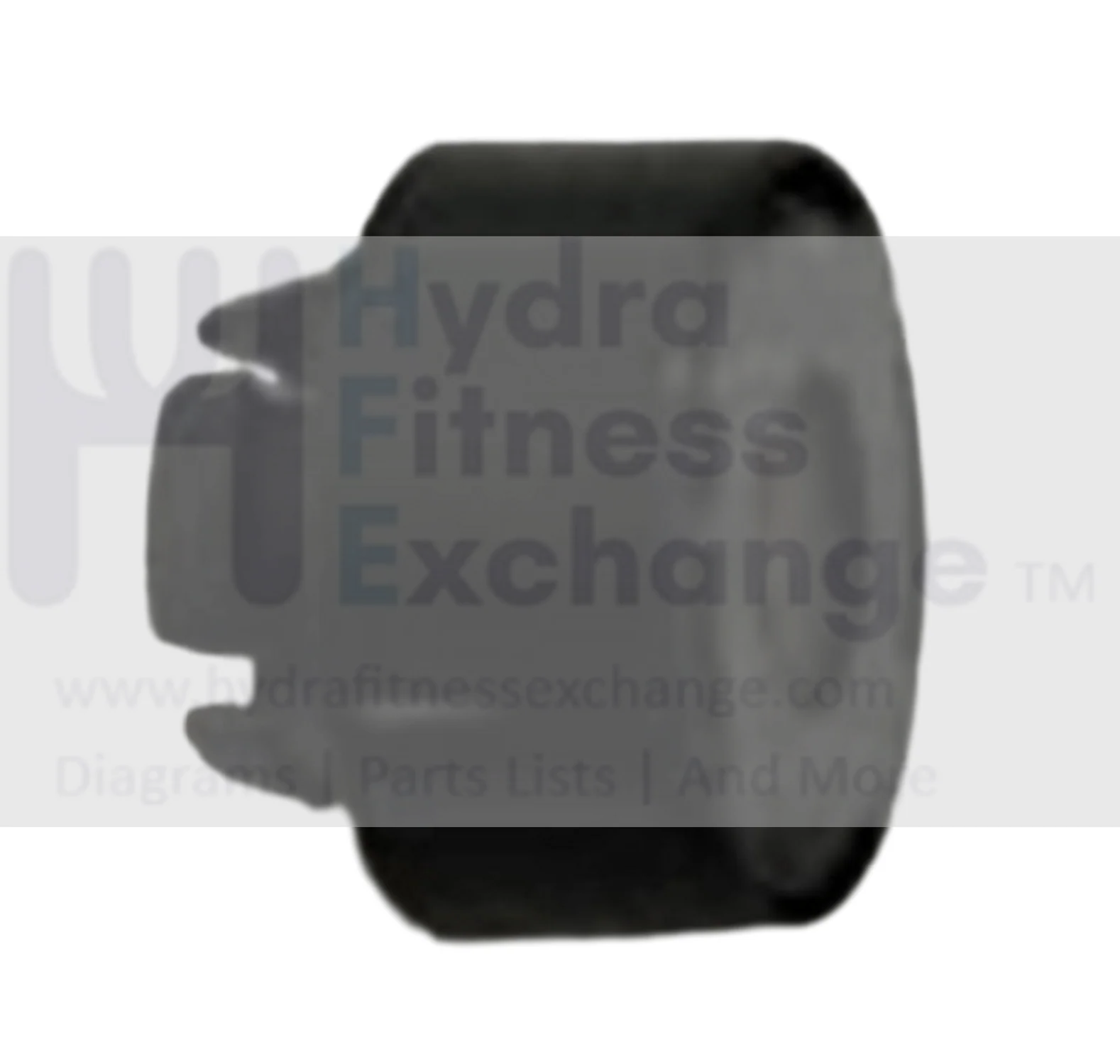 AFG Horizon Fitness Livestrong Stationary Bike Magnet 1000096954
