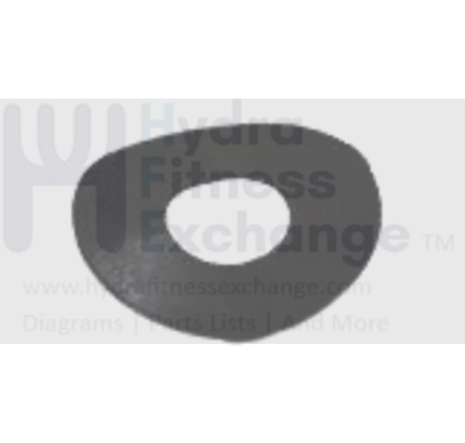AFG Horizon Fitness Livestrong Stationary Bike Plastic Washer 10.0x24x0.4T 1000094221