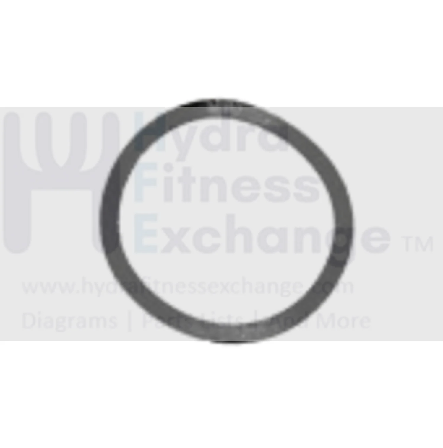 AFG Horizon Fitness Livestrong Stationary Bike Wave Washer 22.0x17x0.3T 1000096913