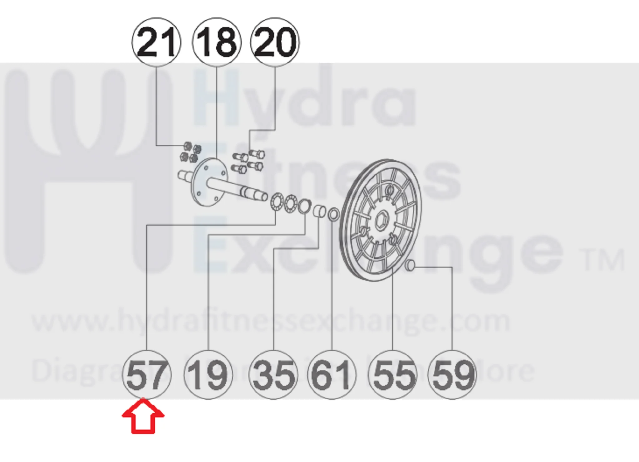 AFG Horizon Fitness Livestrong Stationary Bike Wave Washer 22.0x17x0.3T 1000096913 - Image 3