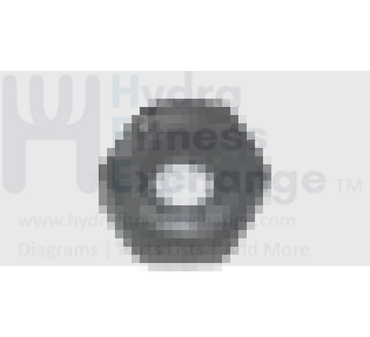 AFG Horizon Fitness T1201 T901 5.0AT 4.0AT 3.0AT 2.0AT Treadmill Hex Nut M2 x 1.6t 094600
