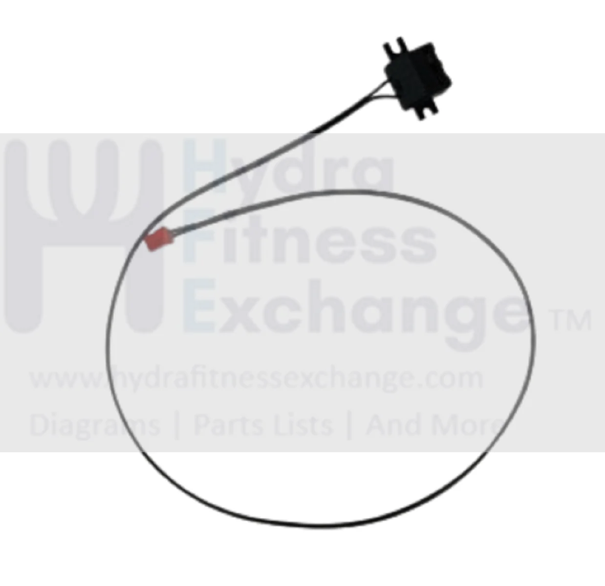 AFG Horizon Fitness Treadmill Safety Key Set Semi Assembly 1000334954