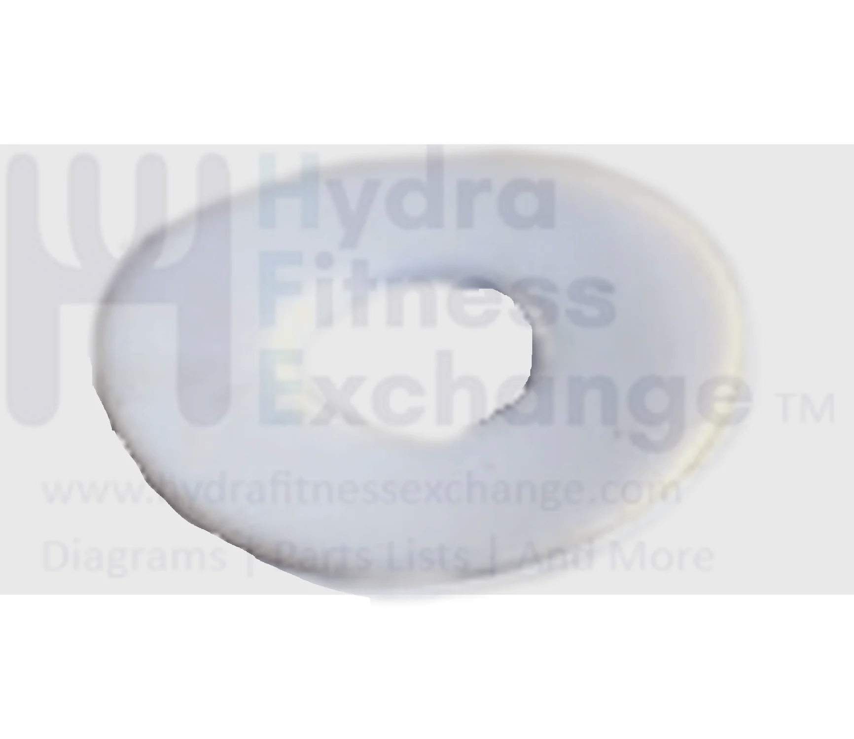AFG Horizon Livestrong Vision Fitness Treadmill Teflon Washer M12x30Px1T 011179-00