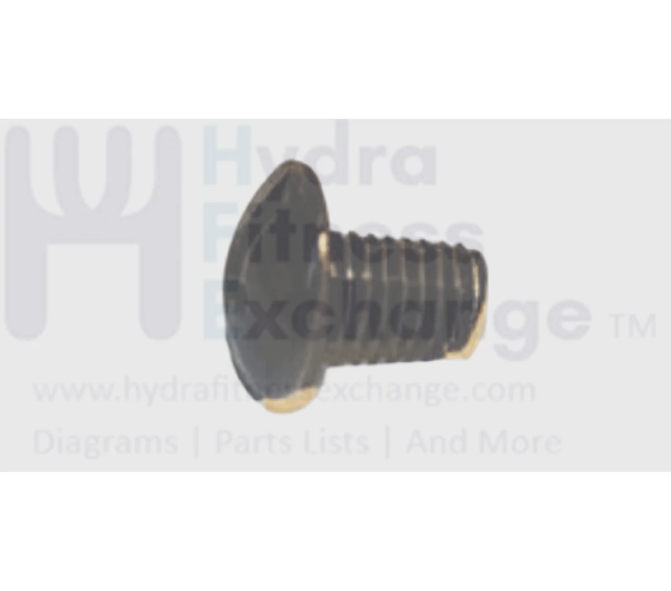 Vision Fitness EP632 Elliptical Button Head Phillip Screw M5 - 0.8P x 8L 004366-00