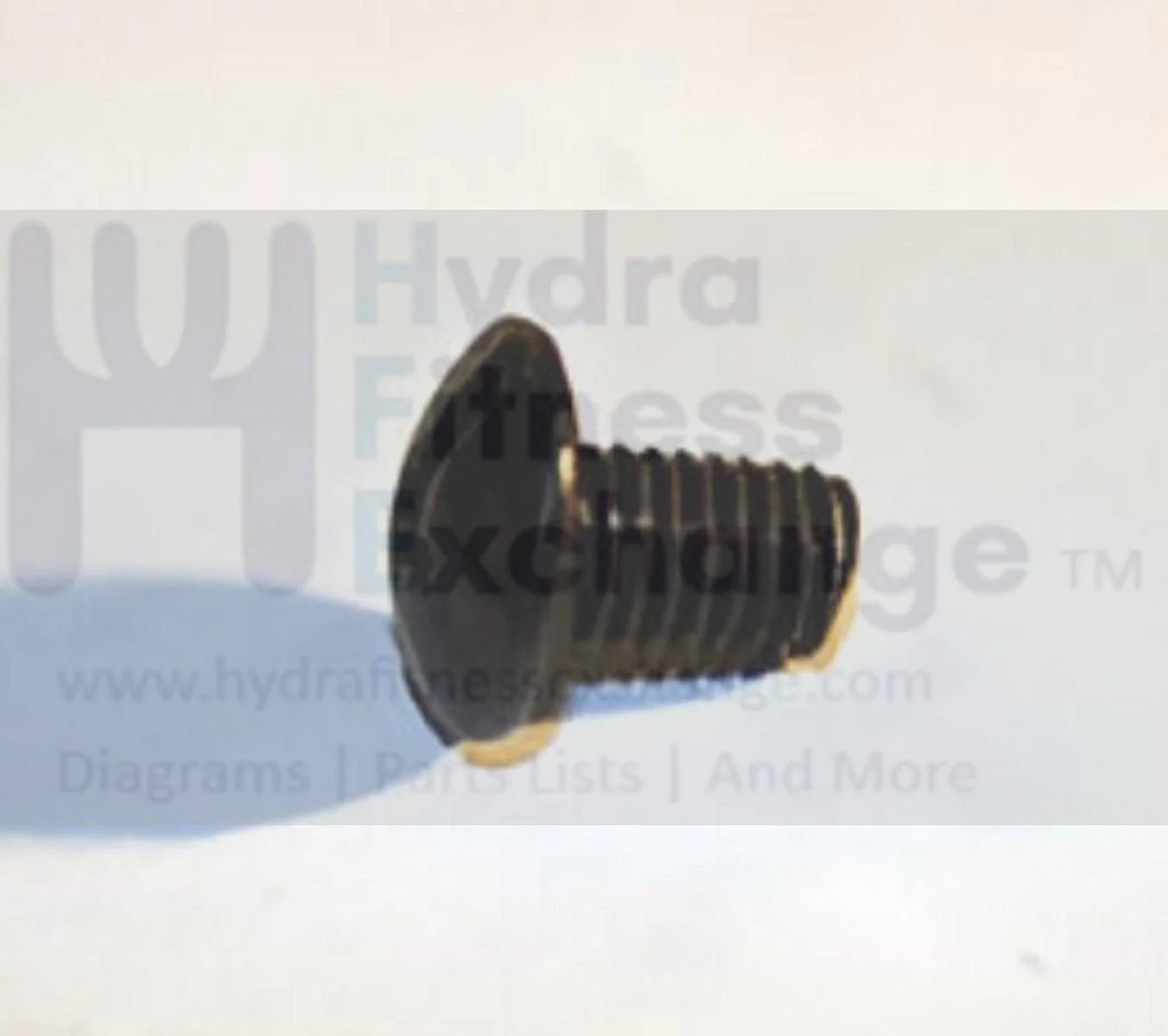 Vision Fitness EP632 Elliptical Button Head Phillip Screw M5 - 0.8P x 8L 004366-00 - Image 2