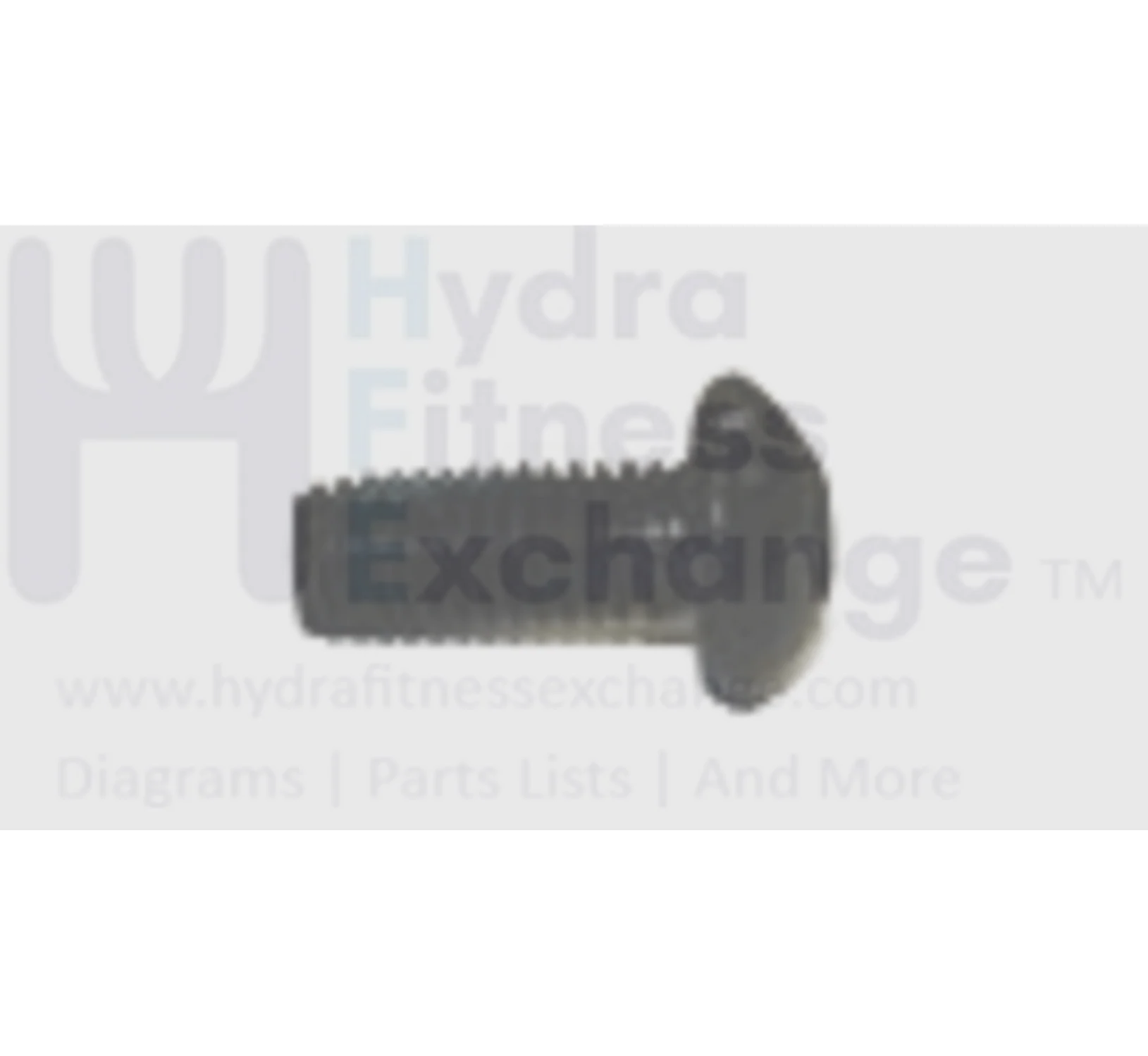 AFG Horizon Matrix Fitness Livestrong Elliptical Oval Hex Socket Screw M8x1.25Px20L 004750-00