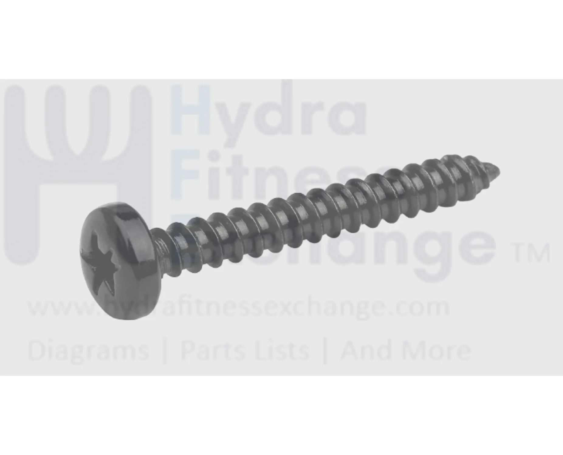 Matrix Fitness Strength System Button Head Tapped Phillip Screw 40 x 30L 020186-00