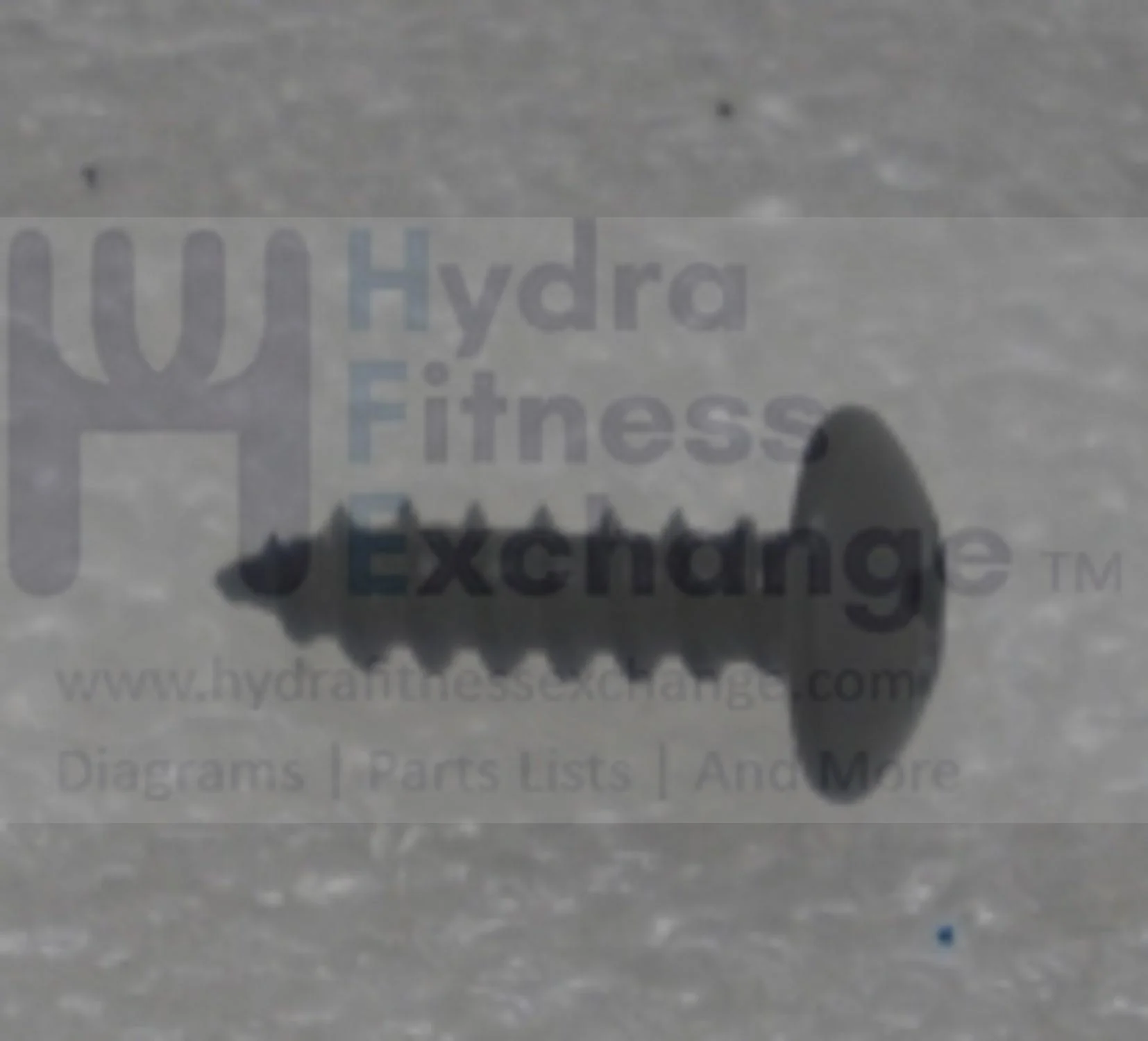 AFG Horizon Matrix Merit Tempo Triumph Vision Fitness Elliptical Self Tapping Screw 4x15L 004636-A - Image 2