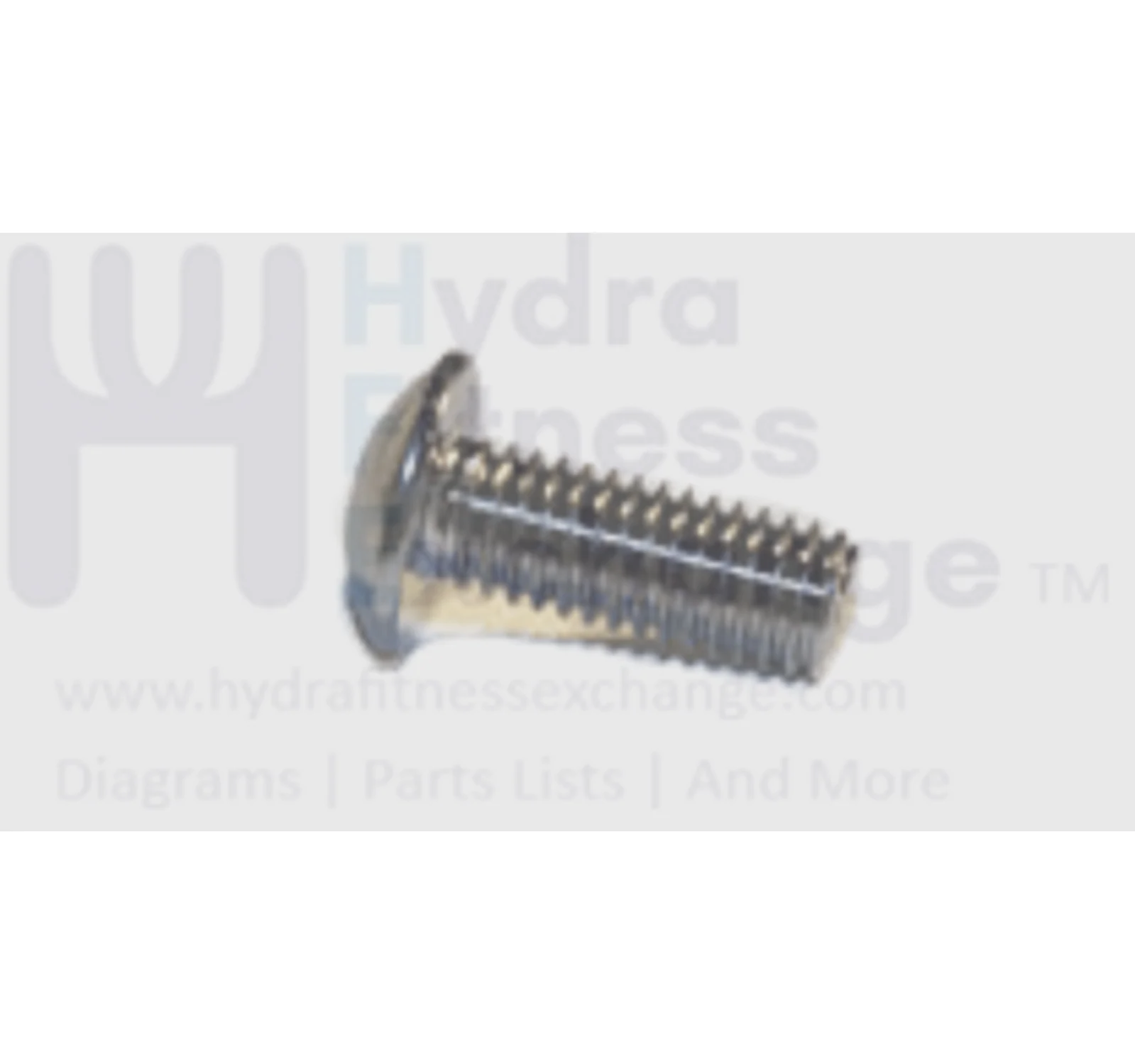 AFG Horizon Matrix Vision Fitness Livestrong Elliptical Umbrella Hex Socket Screw M8x1.25Px20L 004720-AC