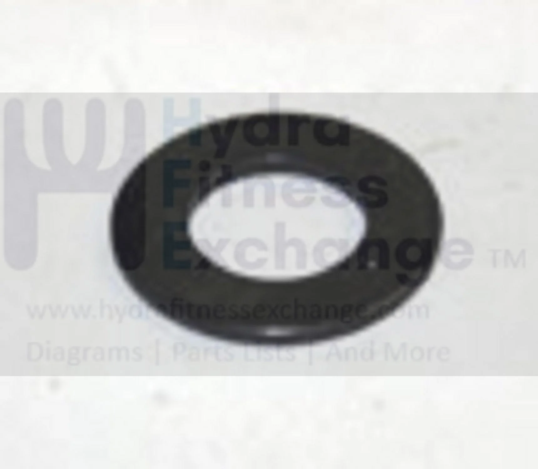 AFG Horizon Matrix Vision Fitness Livestrong Stationary Bike Flat Washer 8.2x15.0x1.2T 005048-00