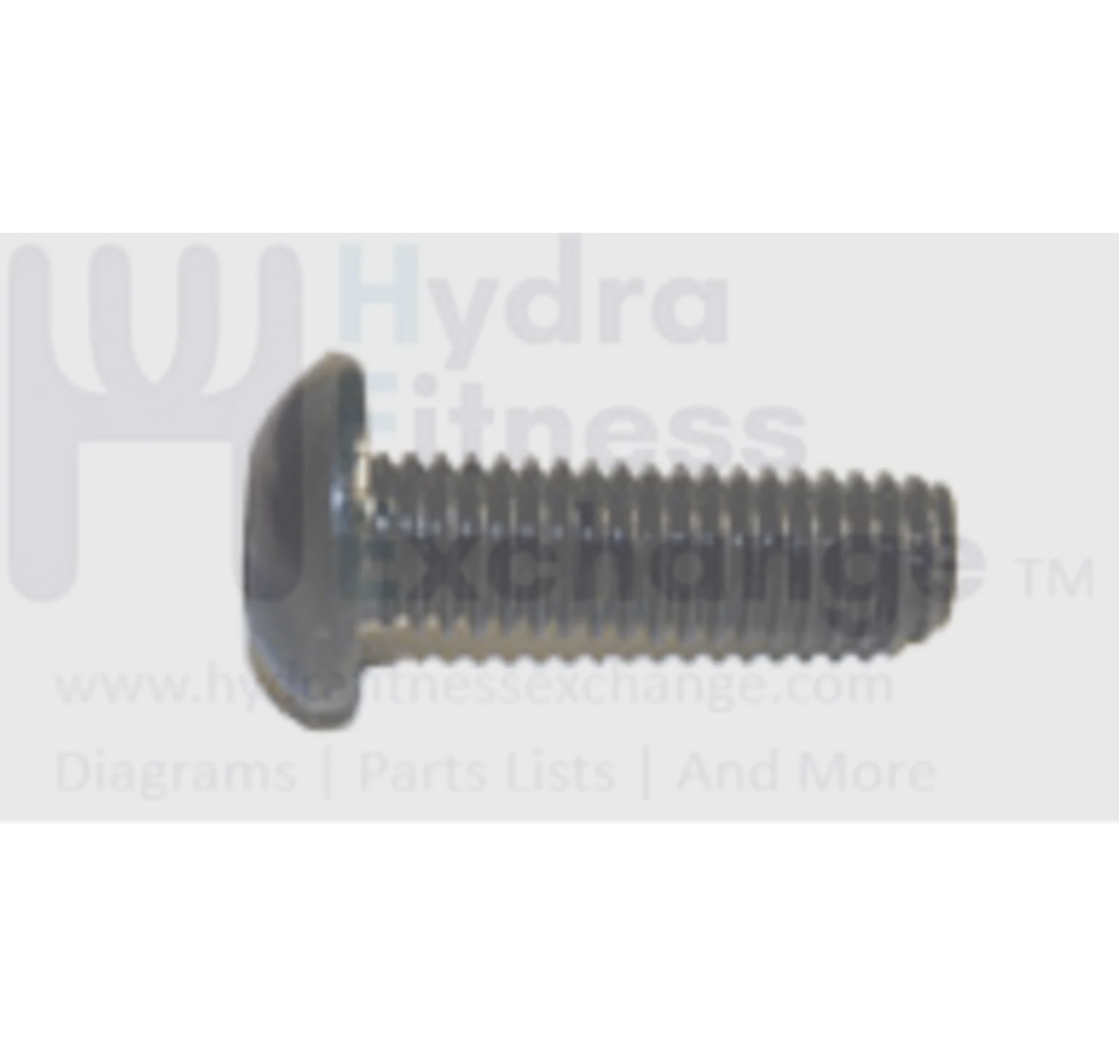 AFG Horizon Matrix Vision Fitness Treadmill Button Head Hex Socket Screw M8x1.25Px25L 004721-00