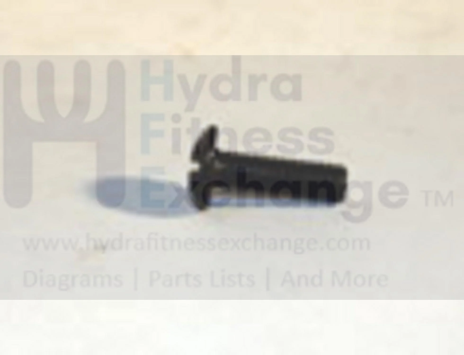 Vision Fitness Elliptical Phillip Head Screw M5 - 0.8P x 15L 004398-00 - Image 2