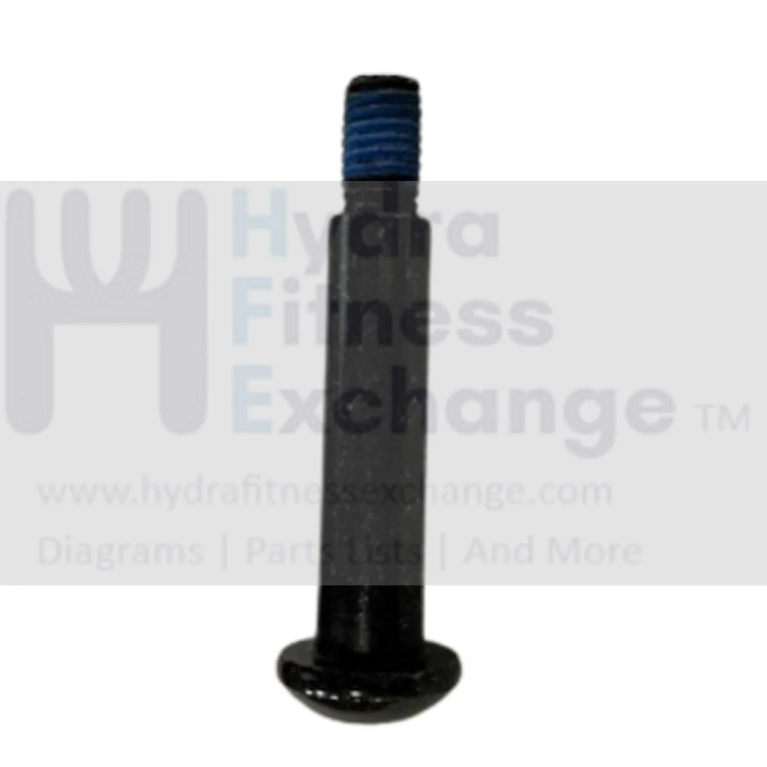 Horizon T101-07 T202-06 Treadmill Button Head Special Screw M8x1.25Px11L 1000447760