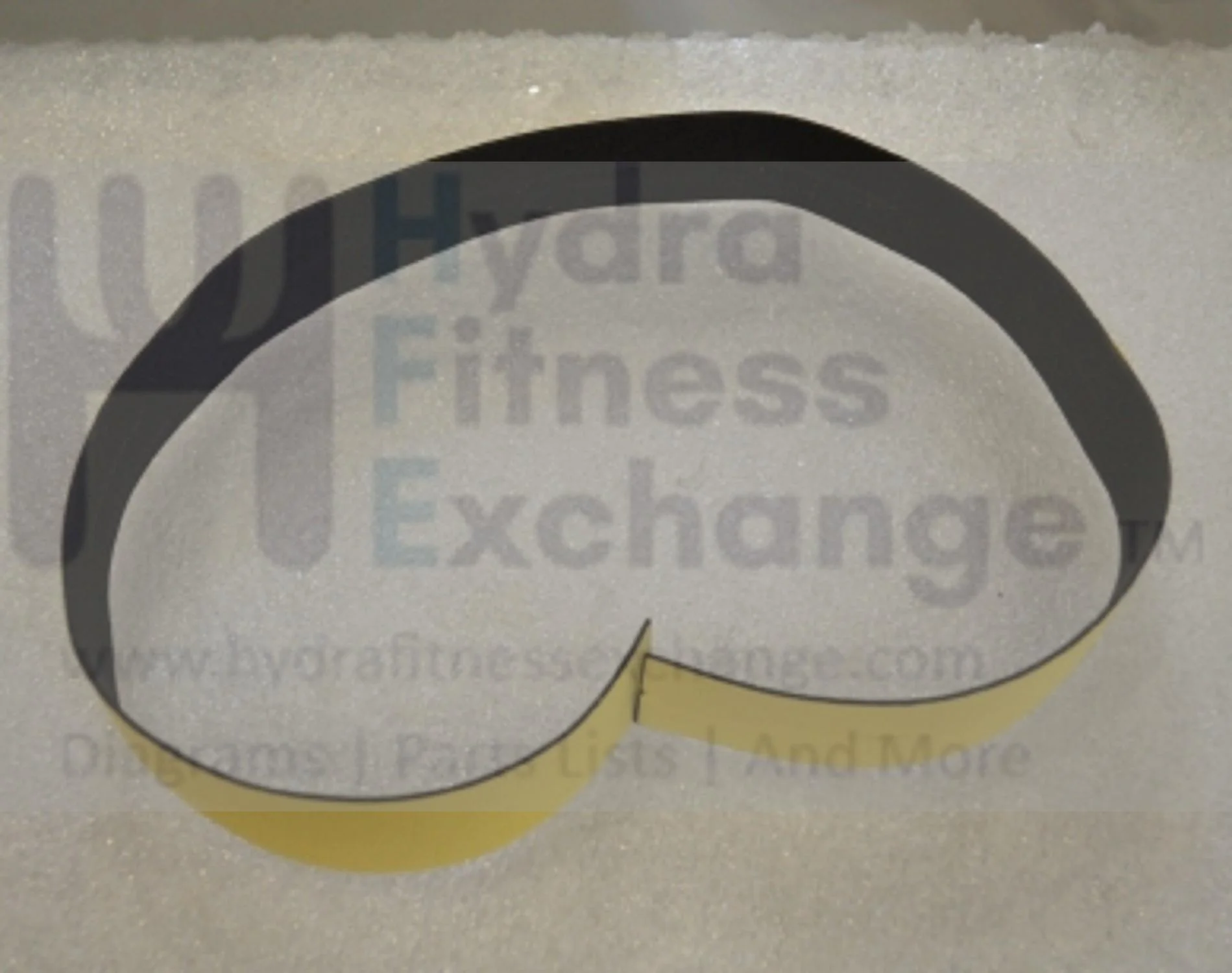 AFG Horizon Vision Fitness Livestrong Elliptical Single Side Foam 30x1.5Tx650L 1000227272 - Image 2