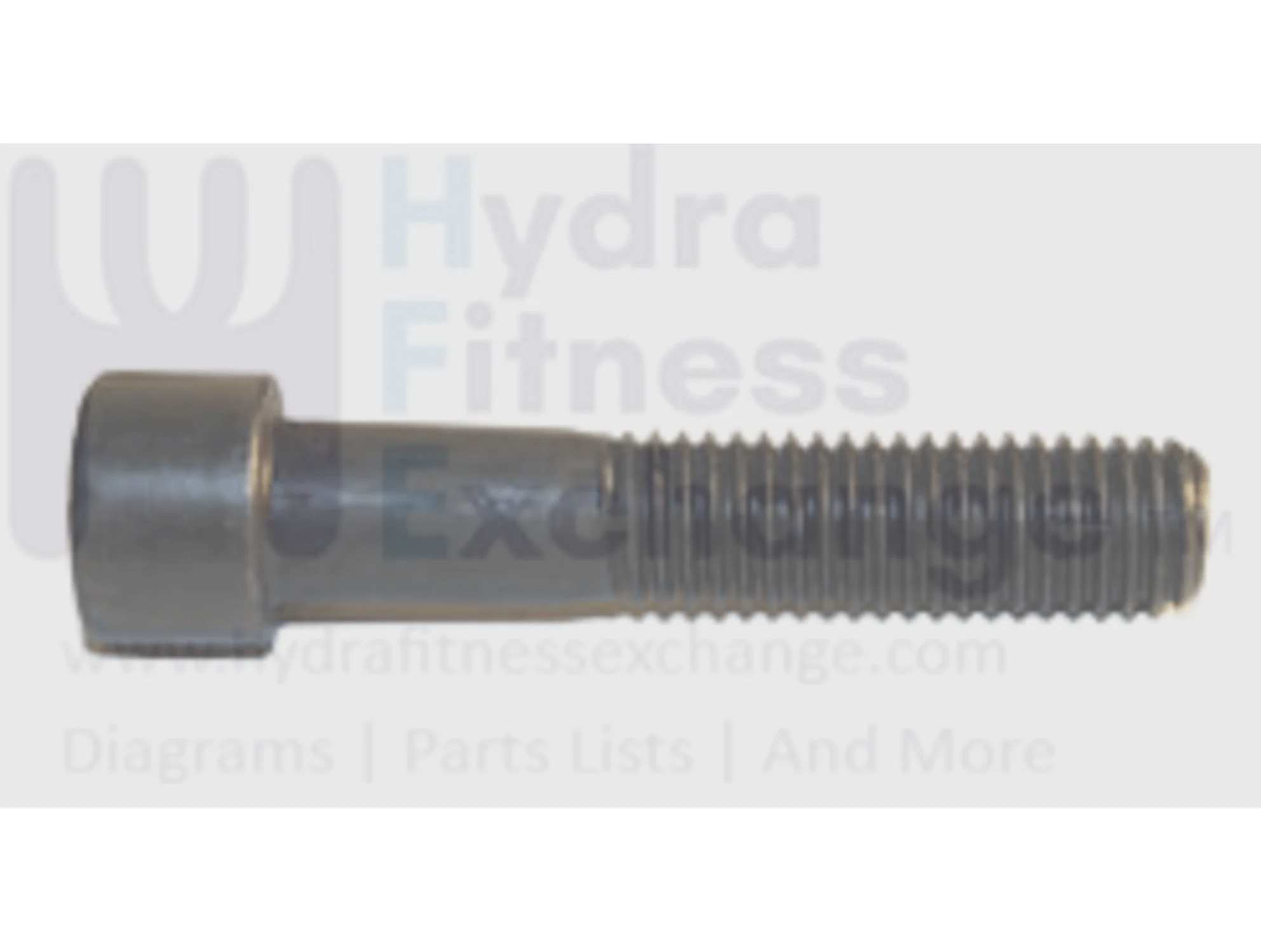 AFG Horizon Vision Fitness Livestrong Treadmill Round Hex Socket Screw M12x1.75Px60L 020077-00