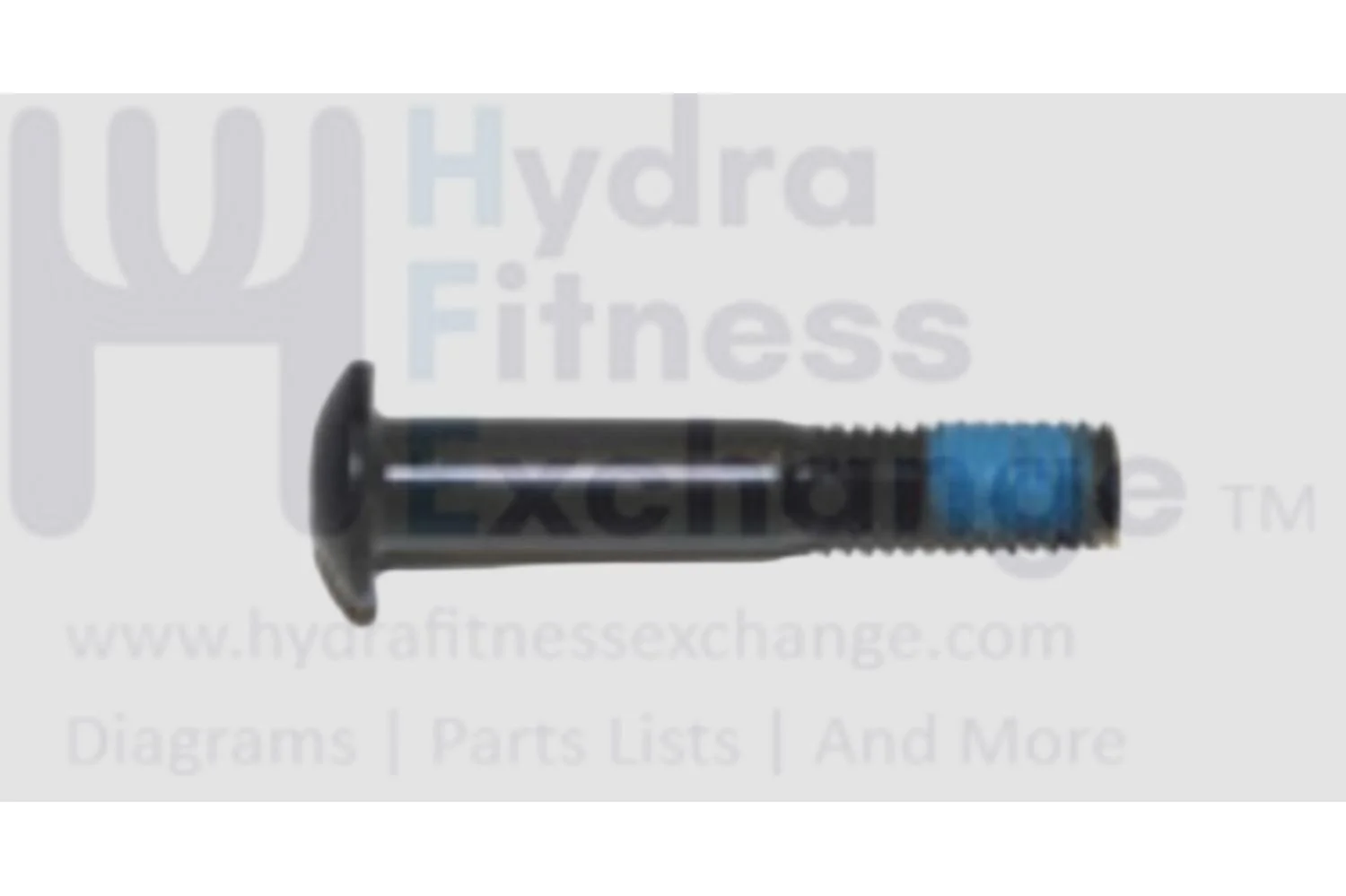 AFG Livestrong Matrix Horizon Fitness Treadmill Screw M - 8 1.25P x 45L 020297-00