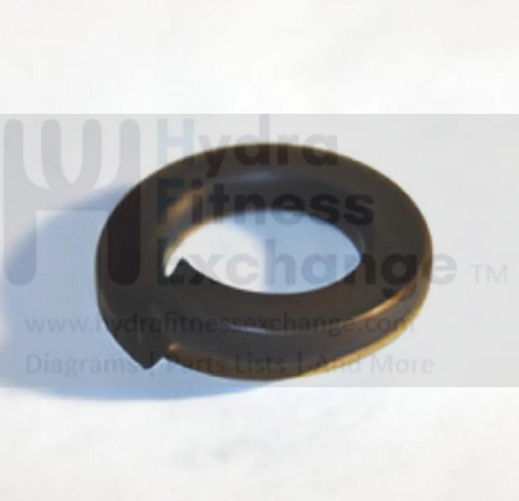 Merit Fitness Treadmill Lock Washer M10.2 - 19 x 2T 020423-A - Image 2