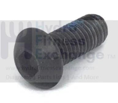 AFG Livestrong Matrix Vision Horizon Fitness Elliptical Screw M8 - 1.25P x 20L 004720-00