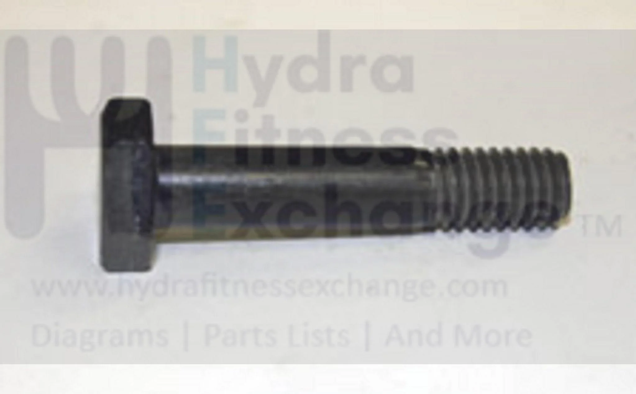 AFG Livestrong Triumph Merit Fitnessgear Matrix Retail Horizon Fitness Elliptical Hex Screw 3/8-16" 049262-00 - Image 2