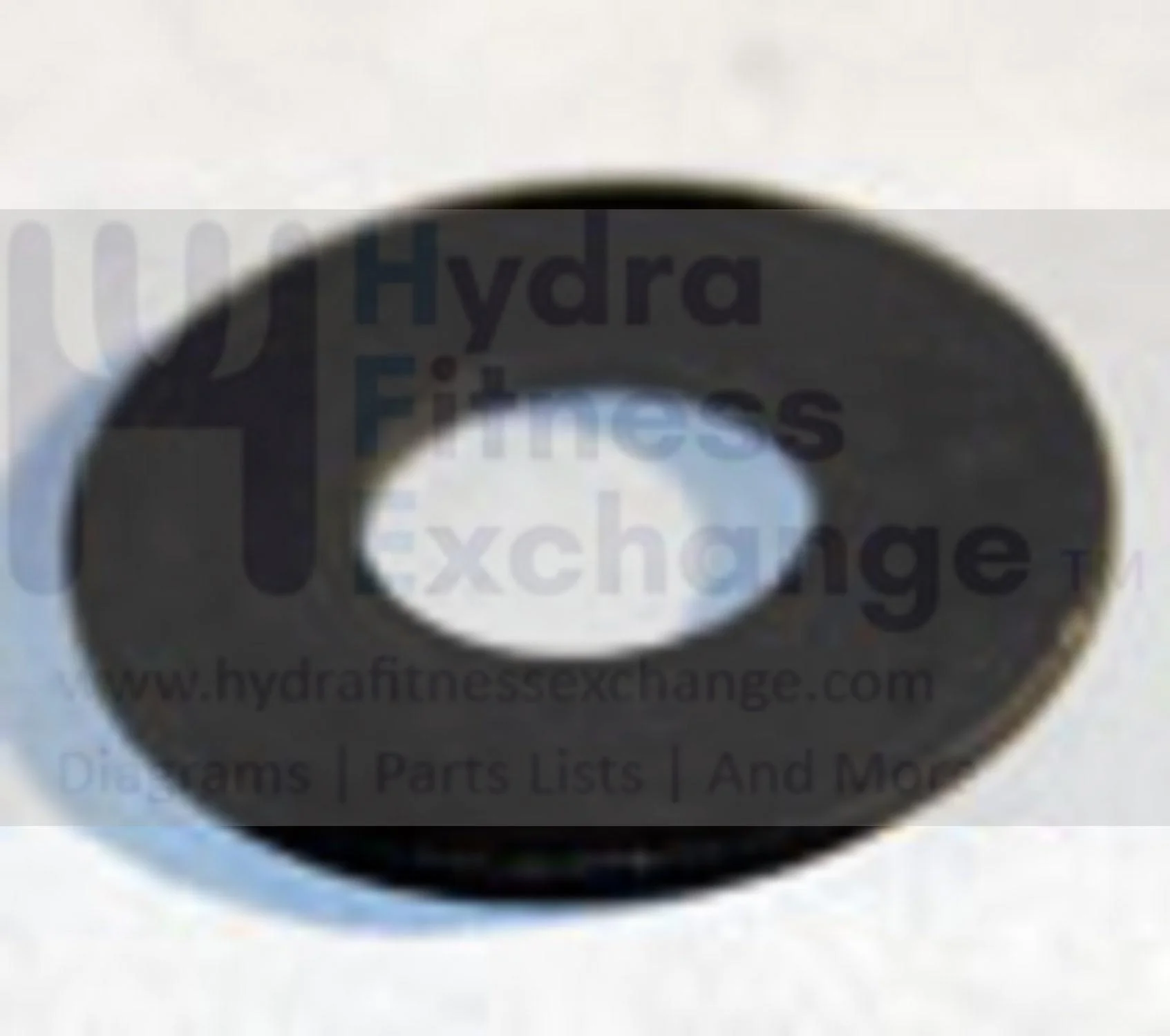 AFG Livestrong Vision Horizon Fitness Elliptical Flat Washer 005136-A - Image 2